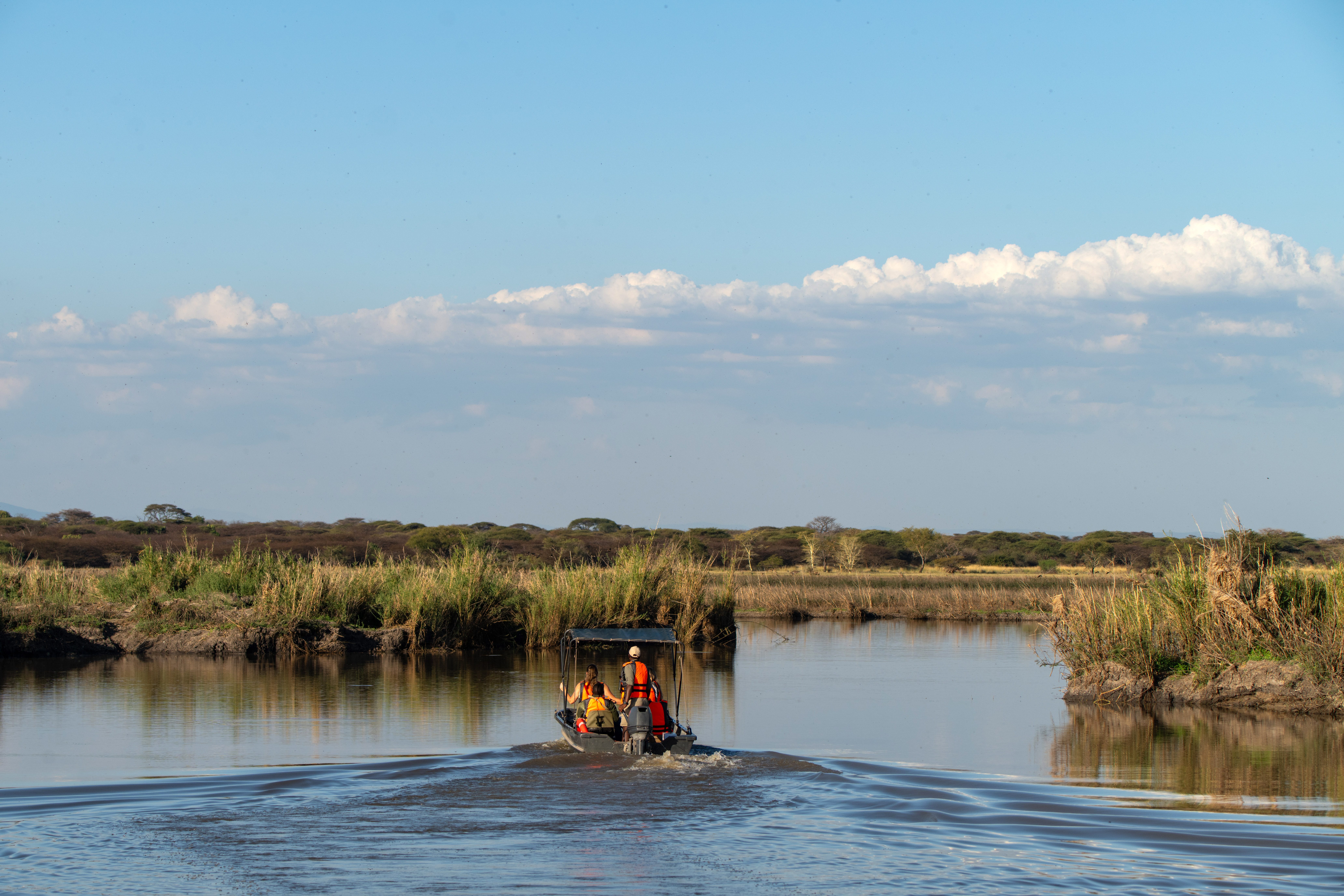 Boating safari
