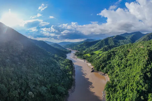 Amazon forest from above