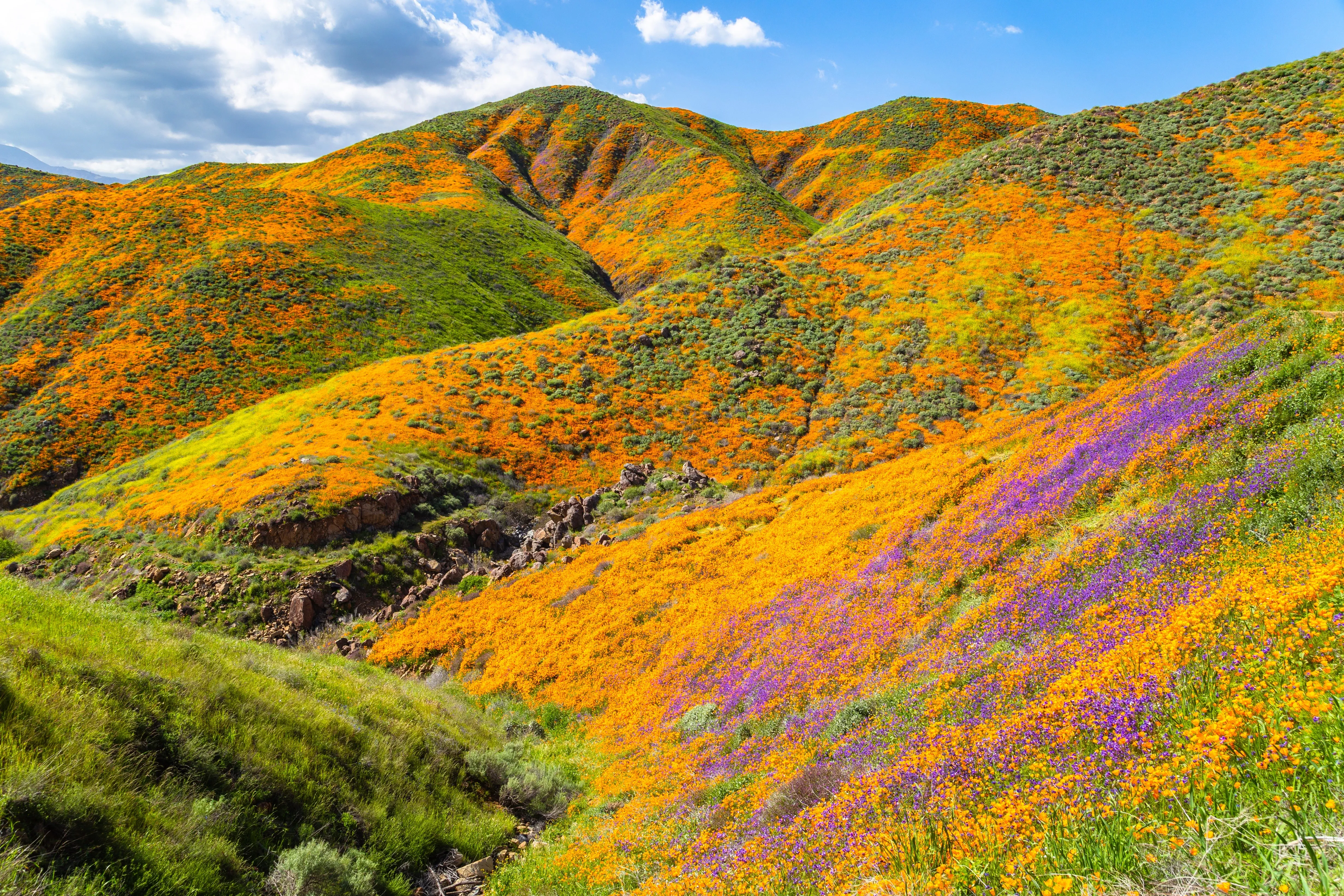 California colorful hills