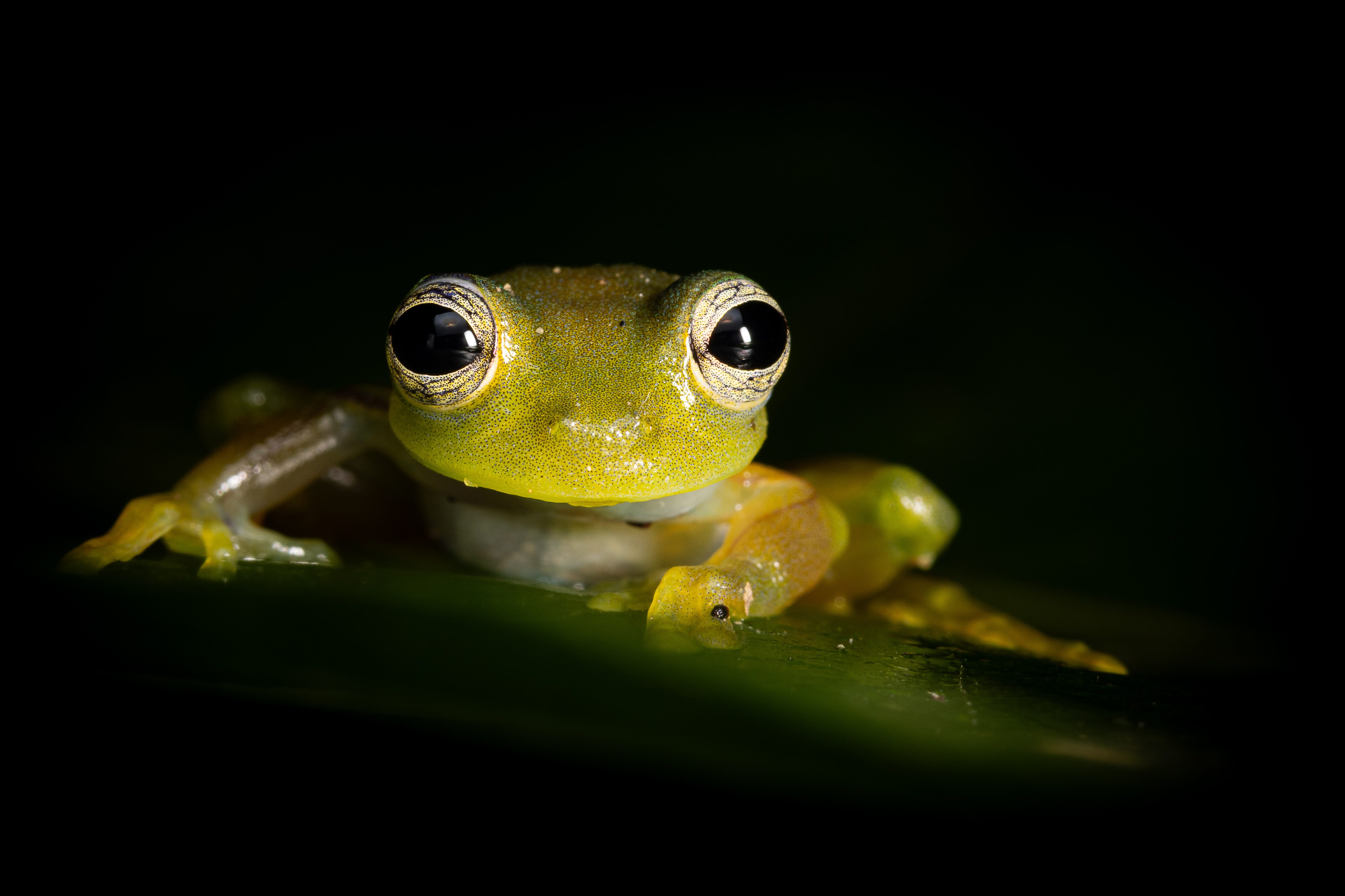 Unser Partner: Jaguarundi Travel