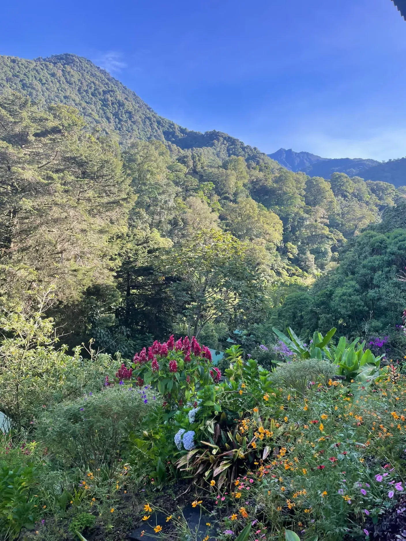 Freiwilligenprojekt Waldschutz, Costa Rica