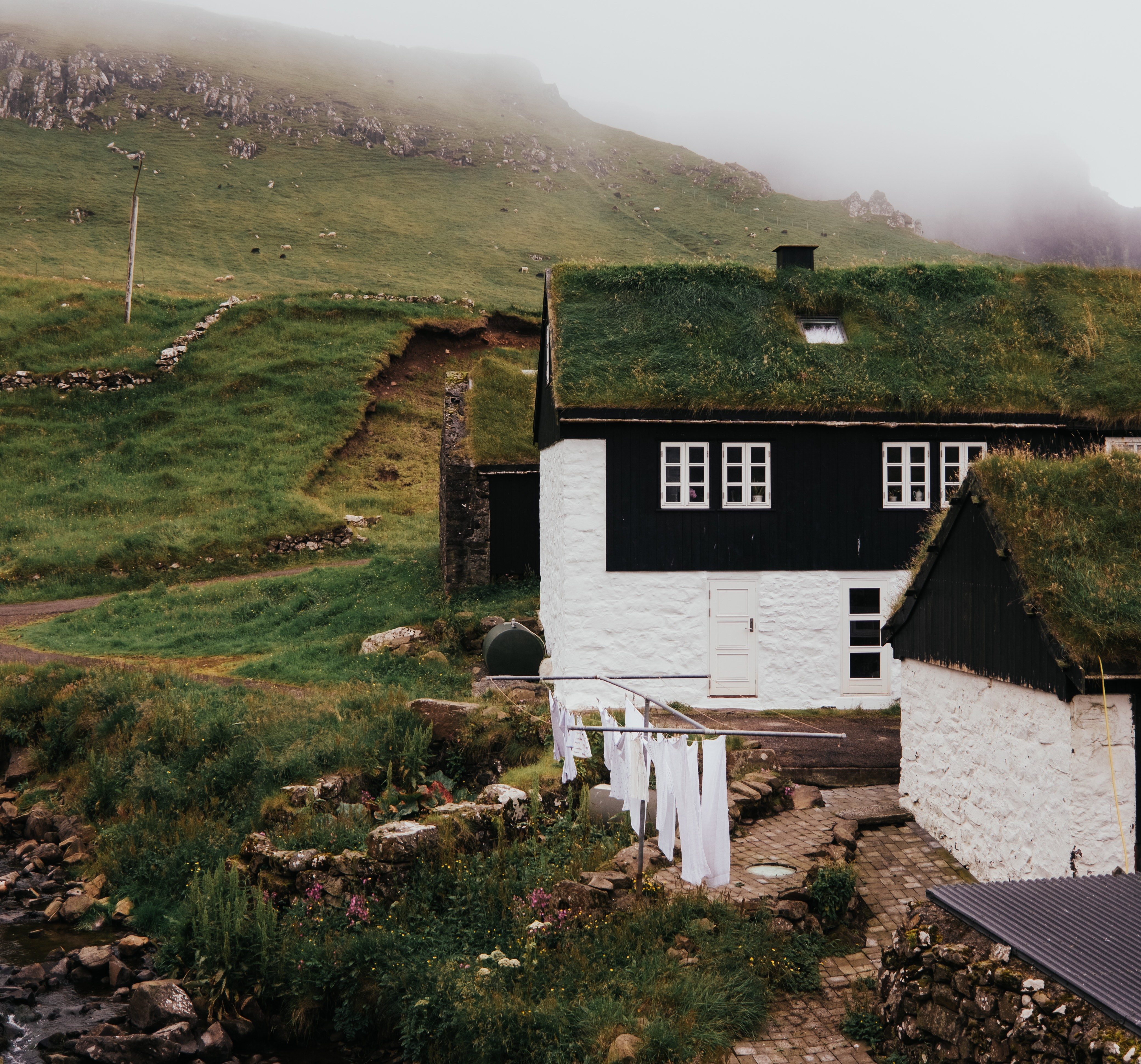 The Faroe Islands: Conservation in the North Atlantic