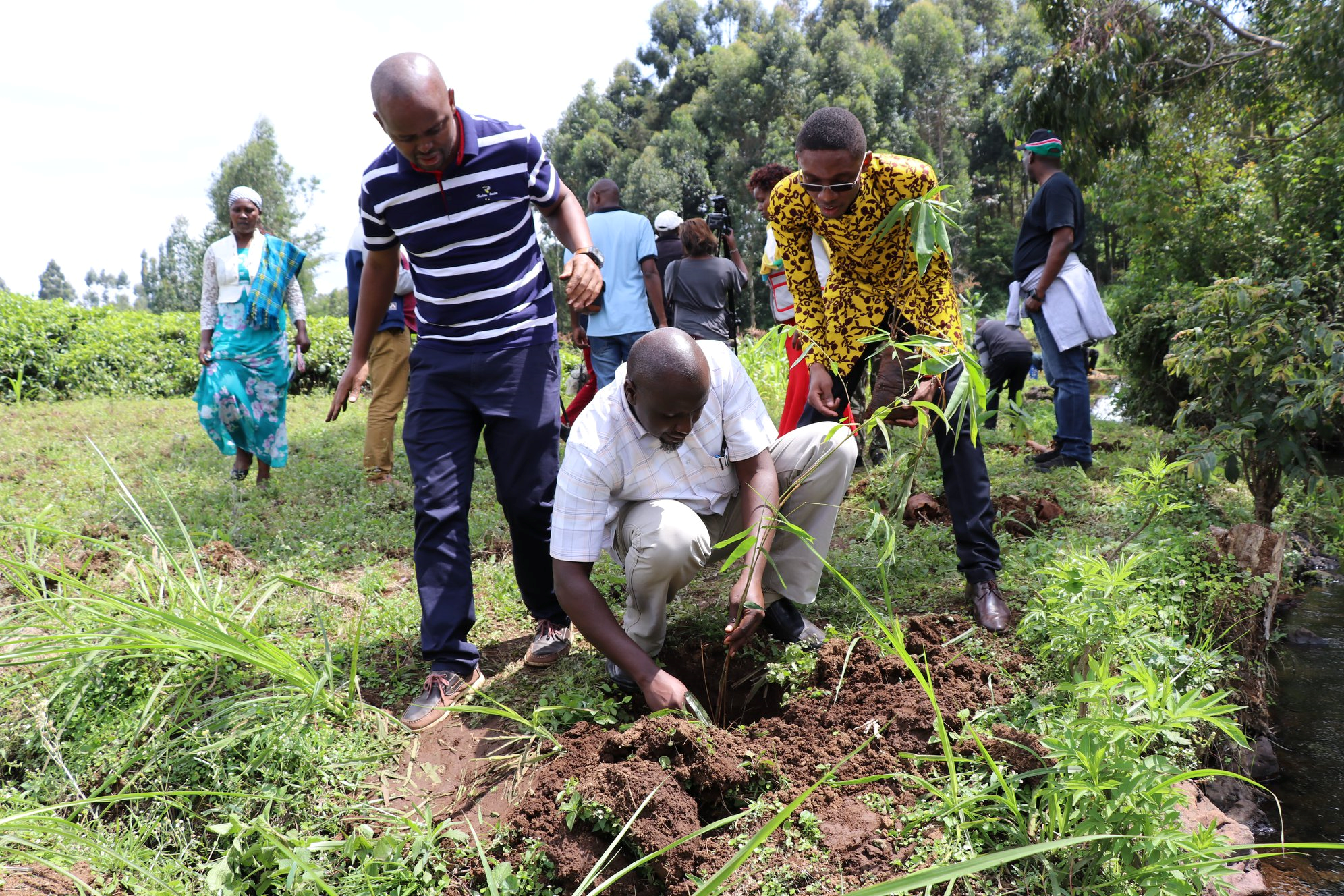 Gemeinschaft pflanzt Bäume