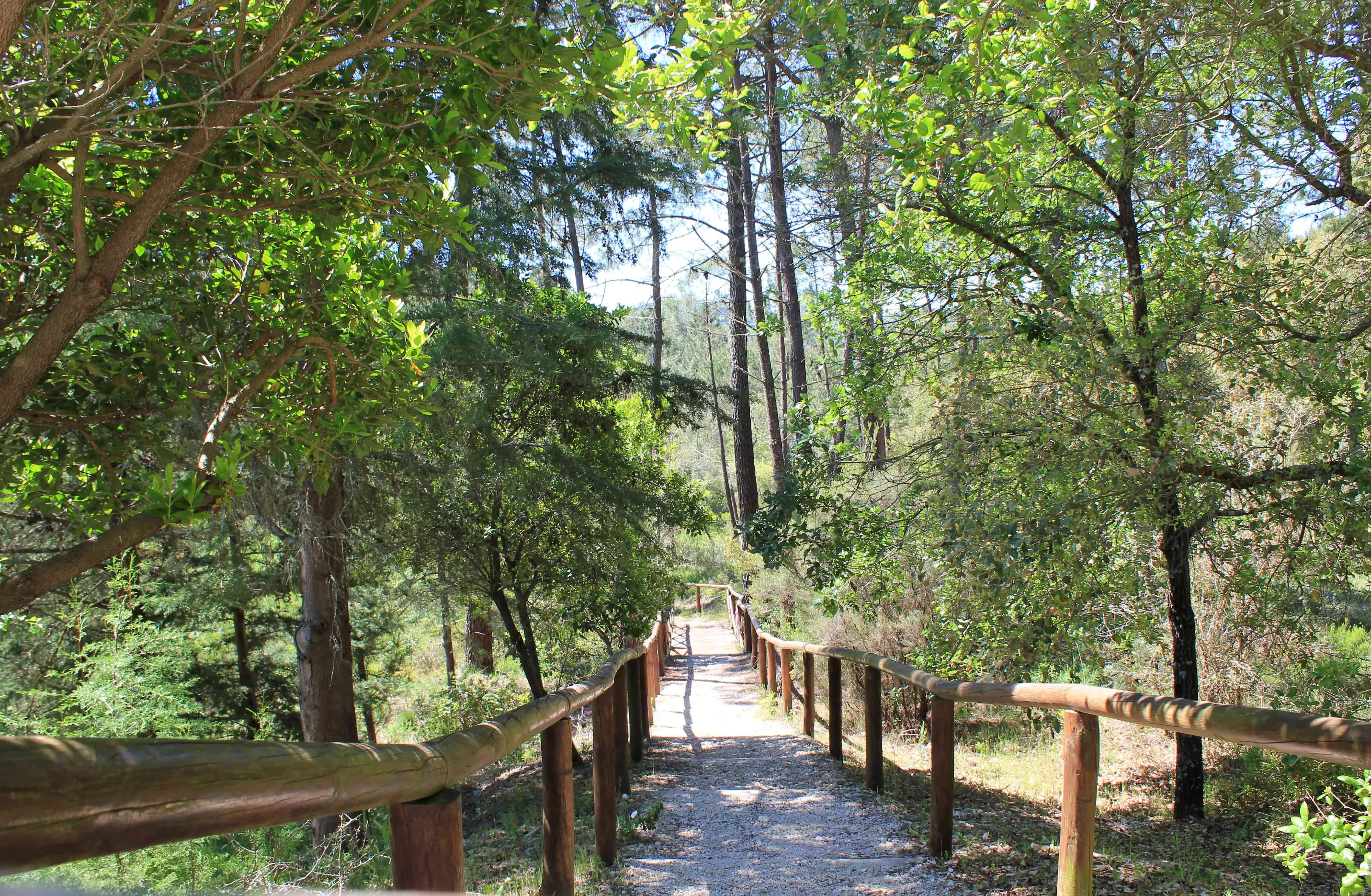portugal hiking trail