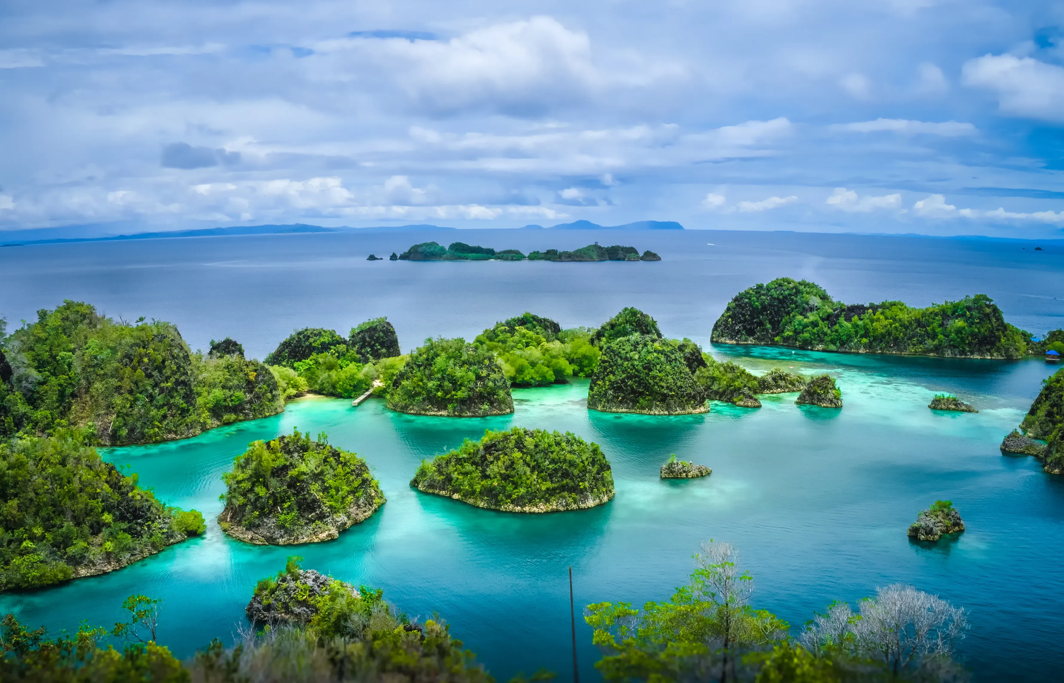 Insel pianemo