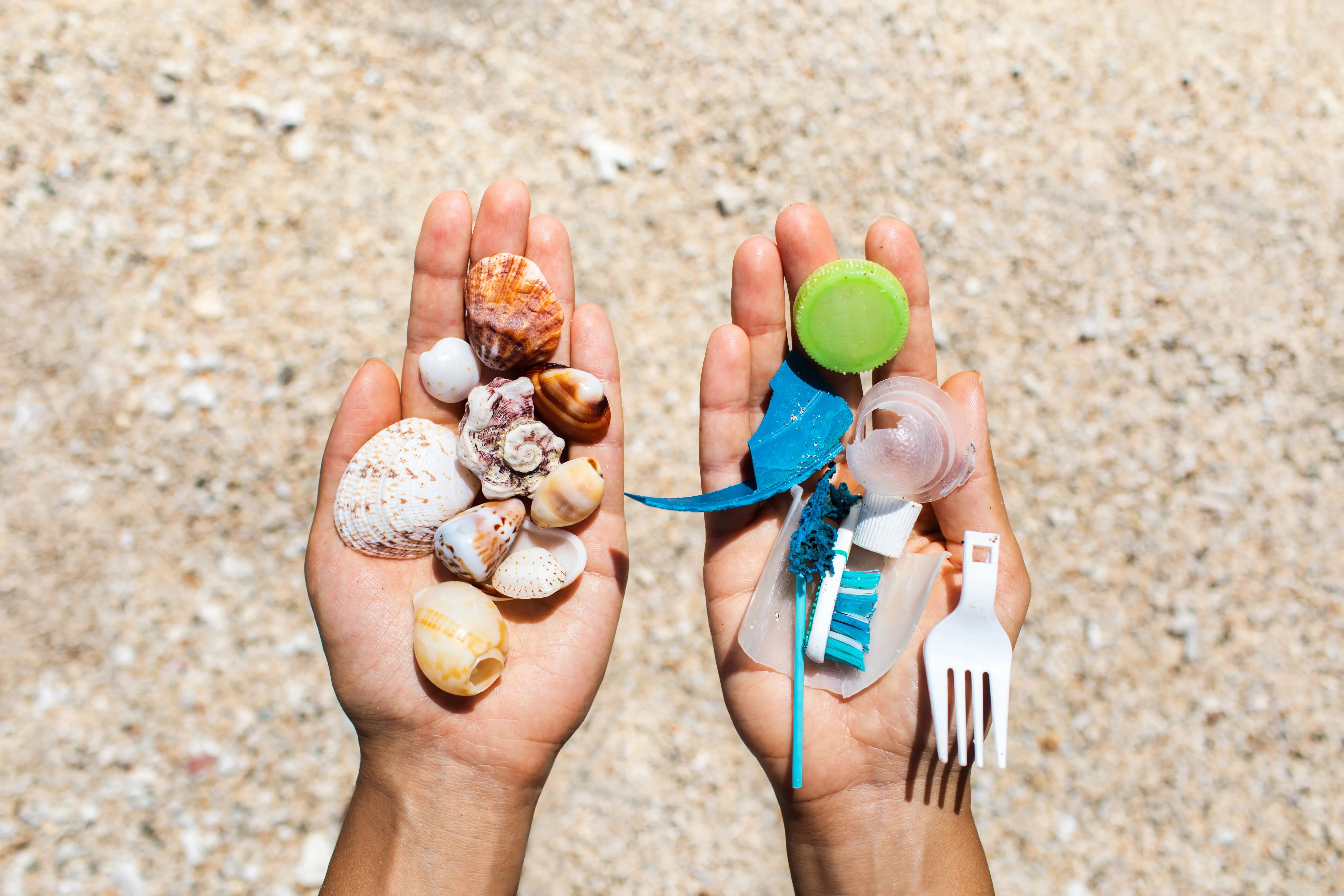 Hands on the beach holding shells and rubbish