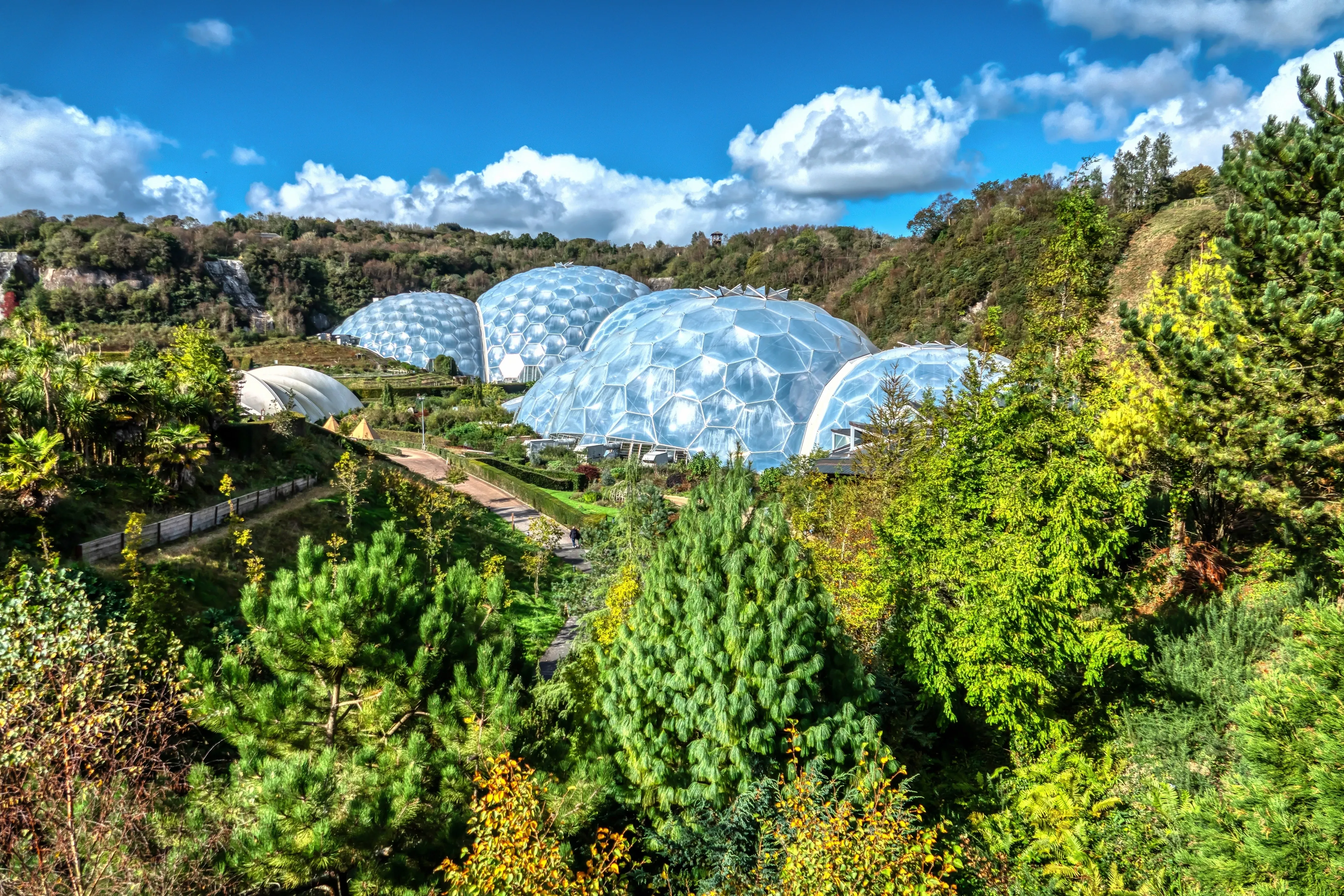 Eden rewilding project