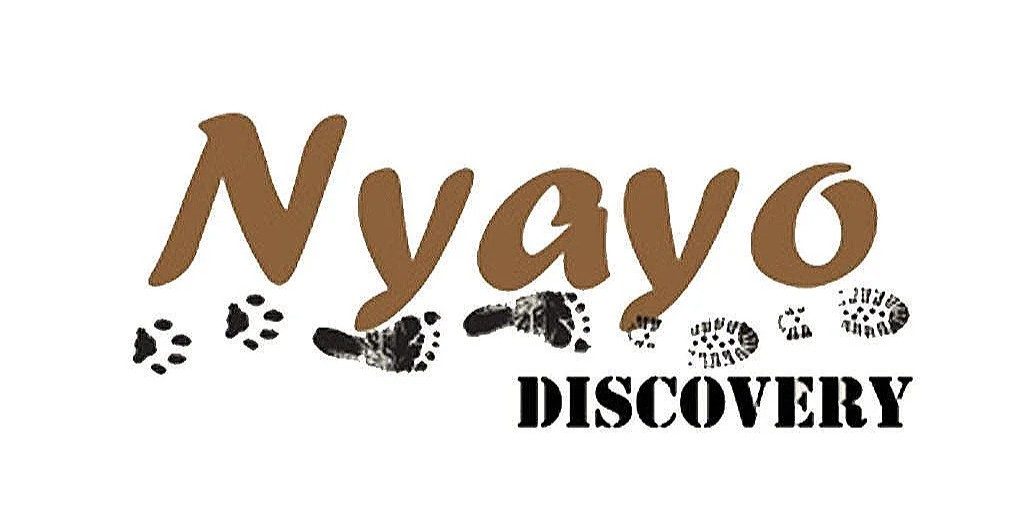 Our partner: Nyayo Discovery