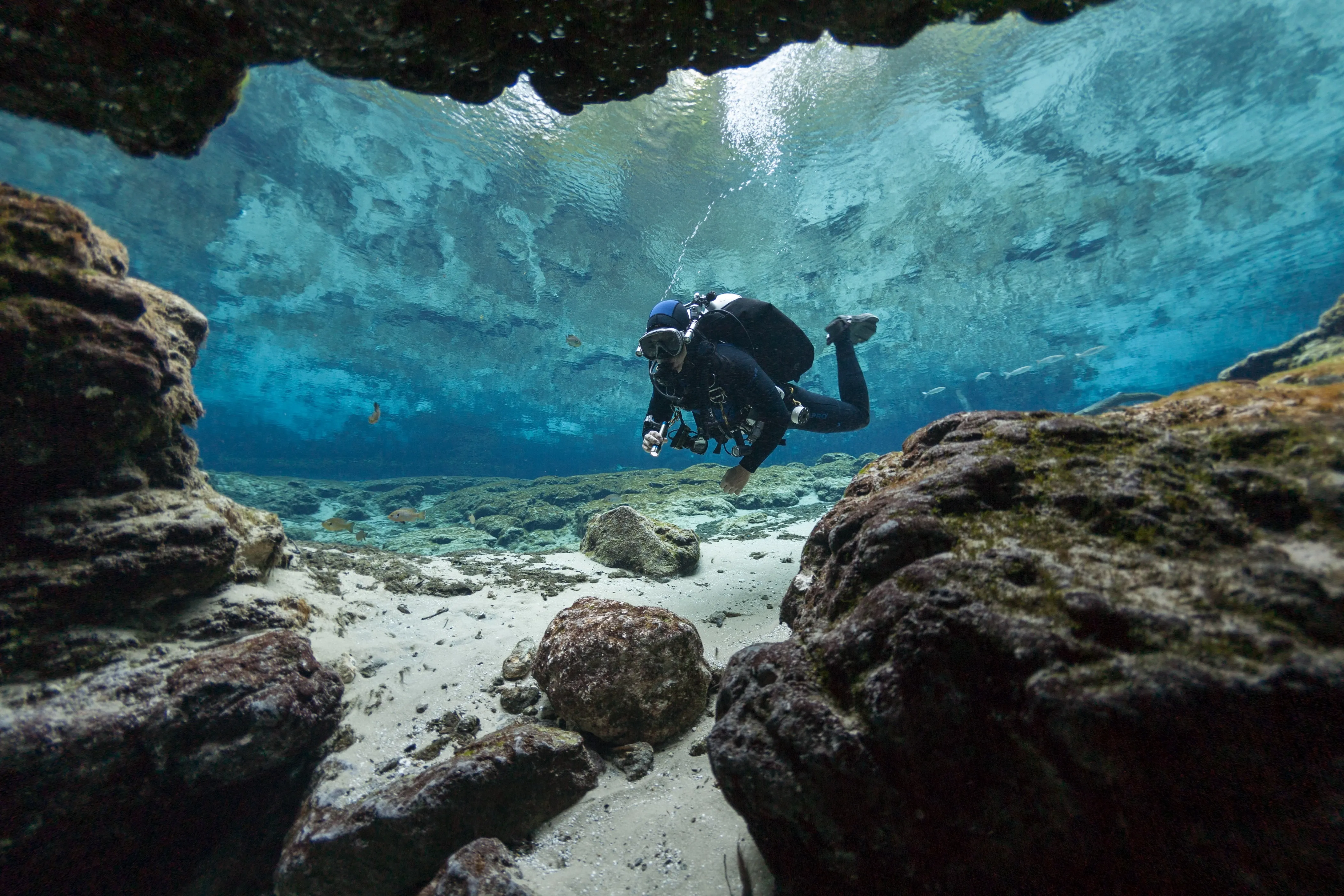 diver in ginnie springs