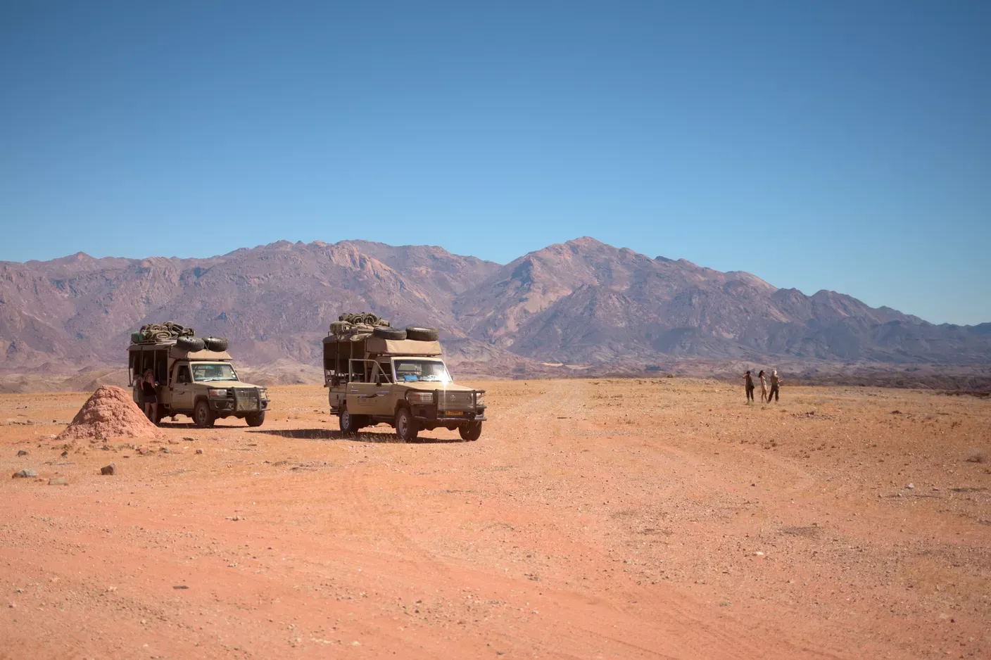 Game Drive Damaraland