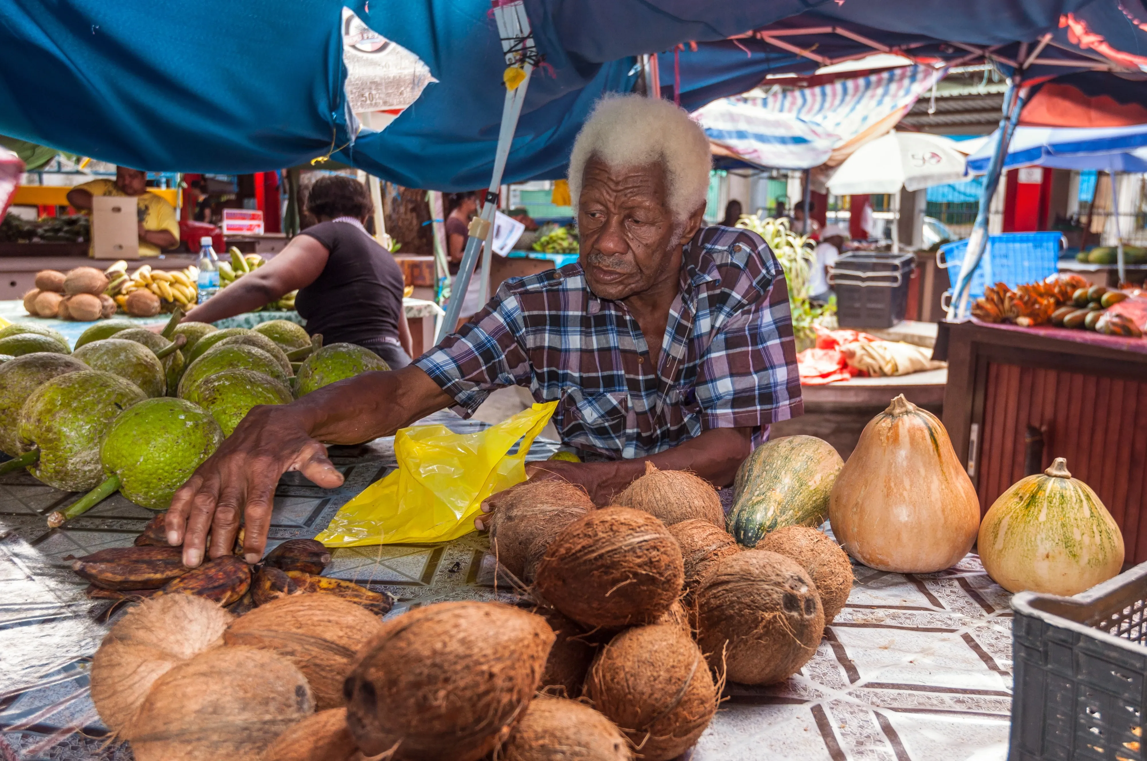person selling coconuts
