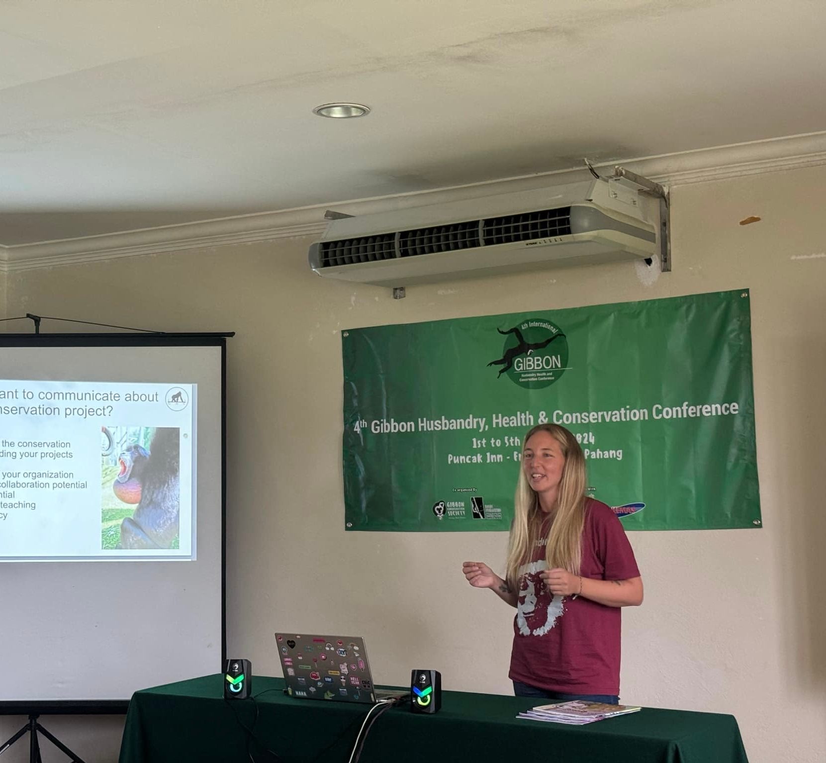 Gibbon-Präsentation