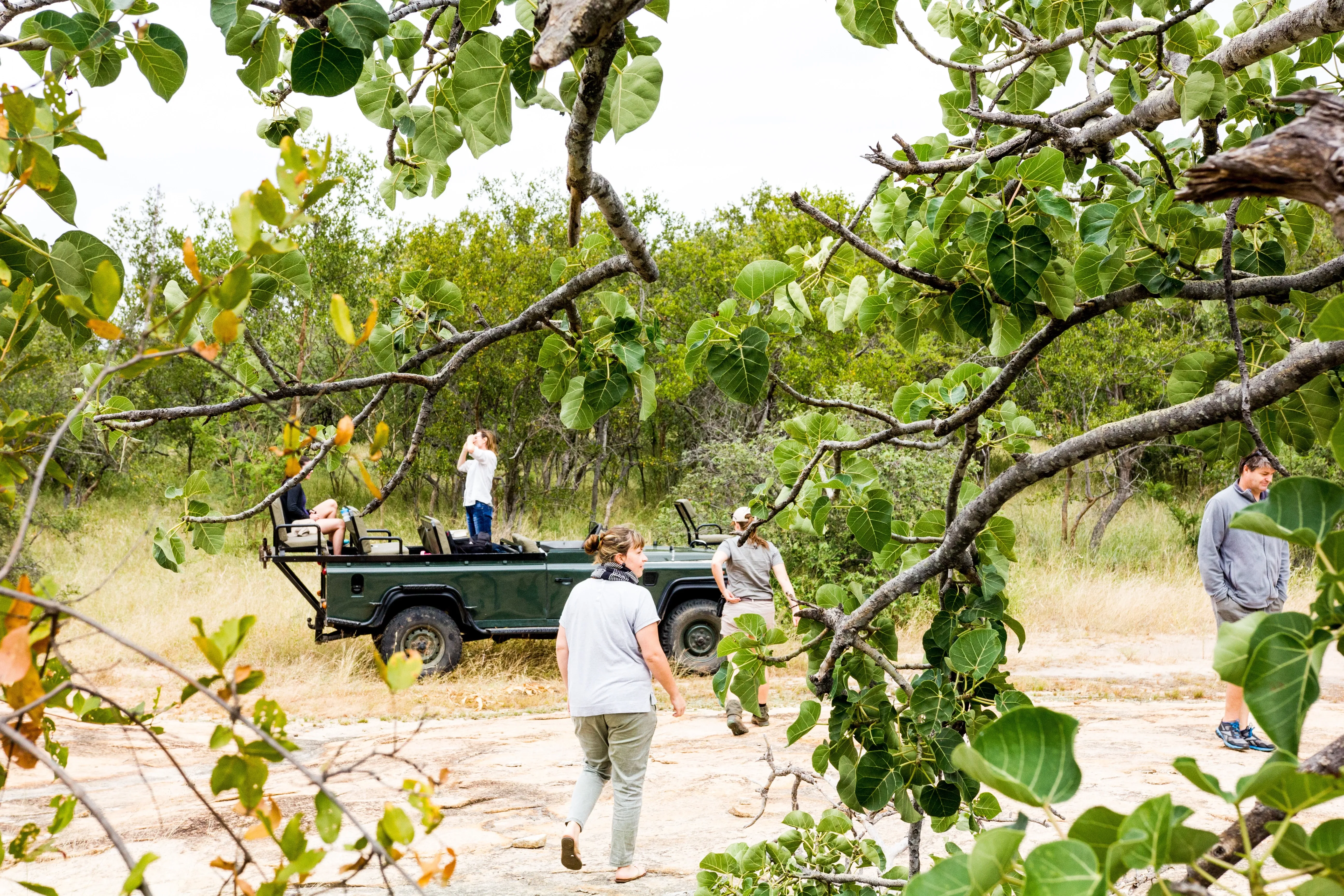 Mittagsrast im Busch