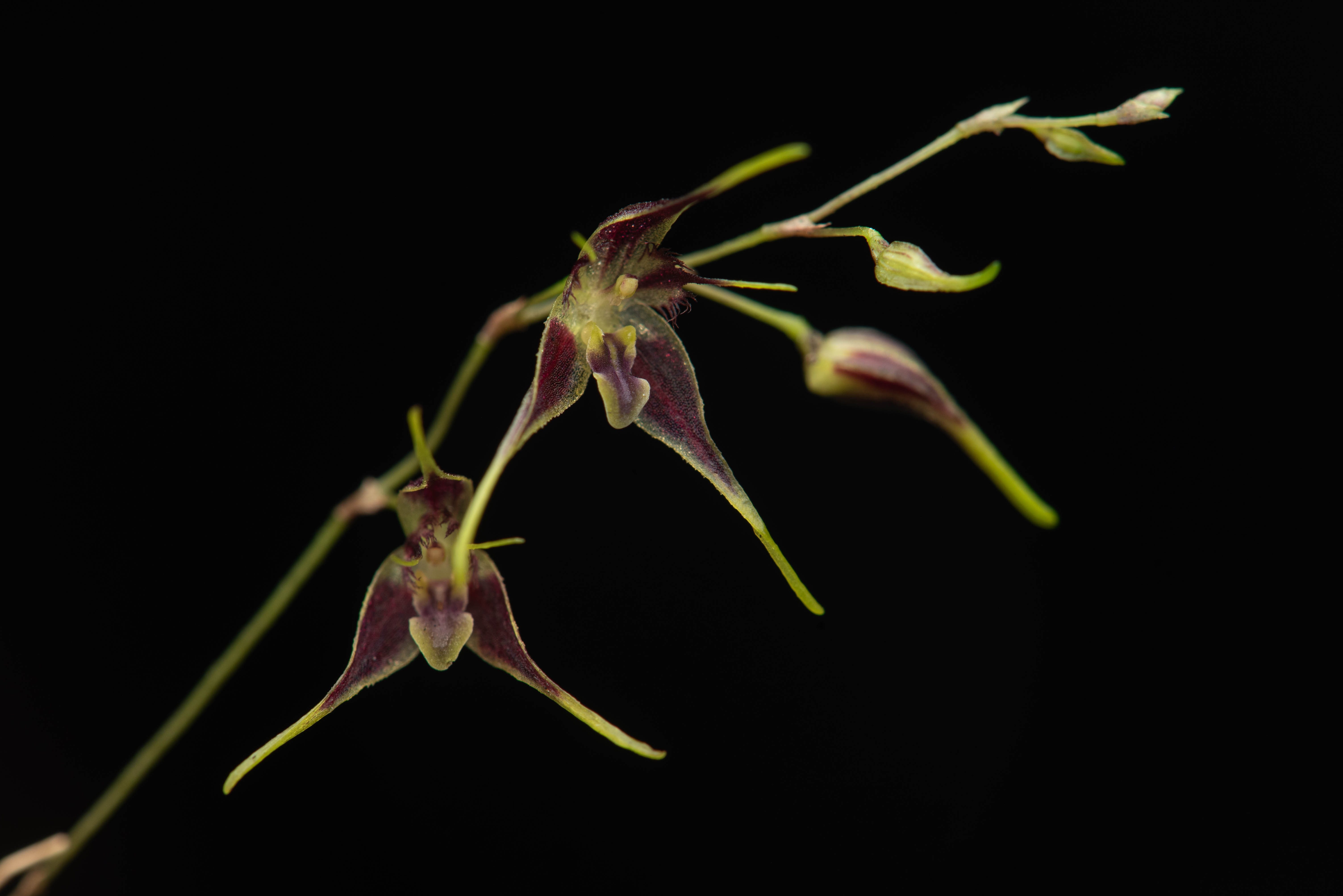 Unser Partner: Jaguarundi Travel