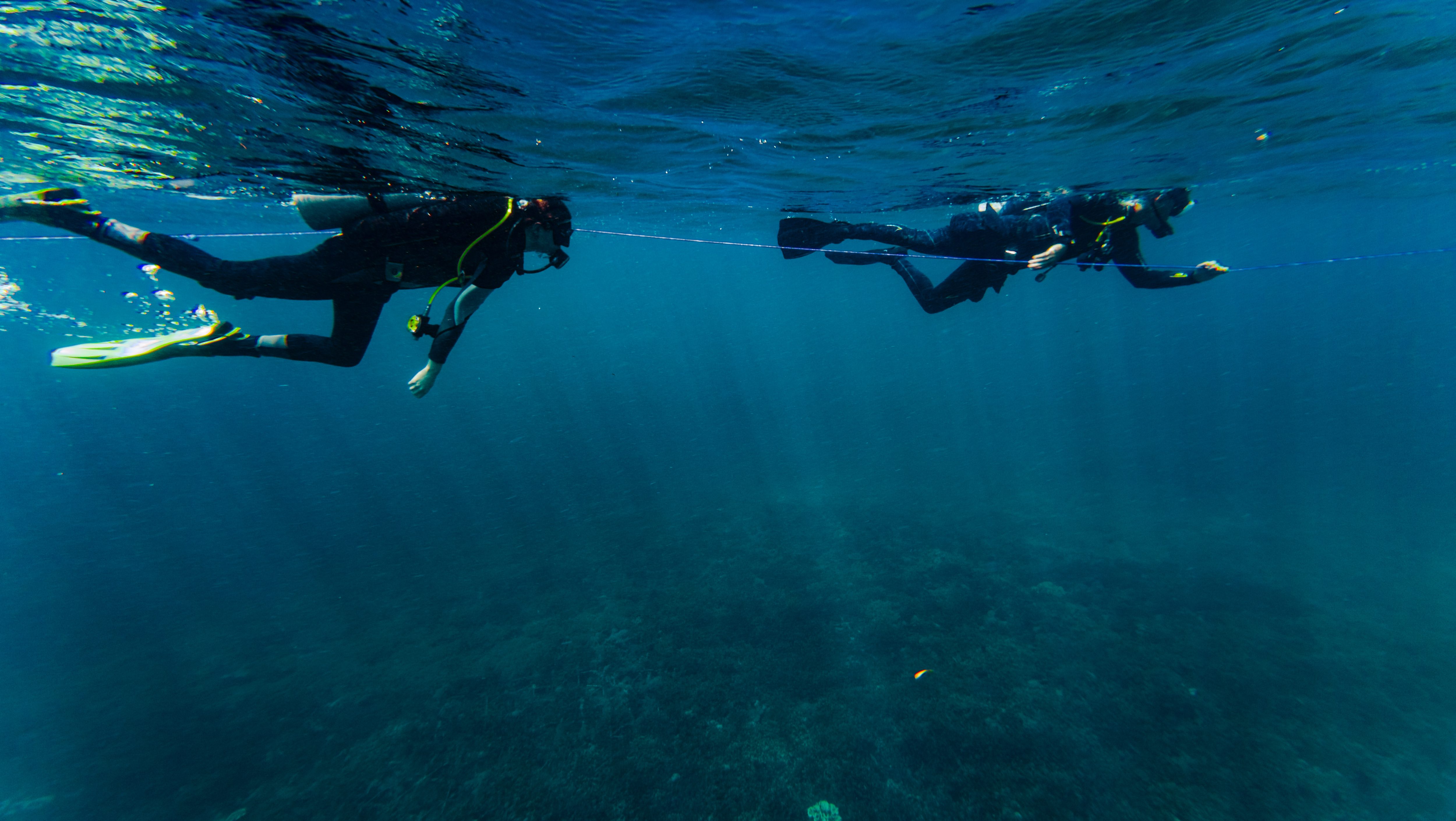 Internship Marine Protection, Indonesia