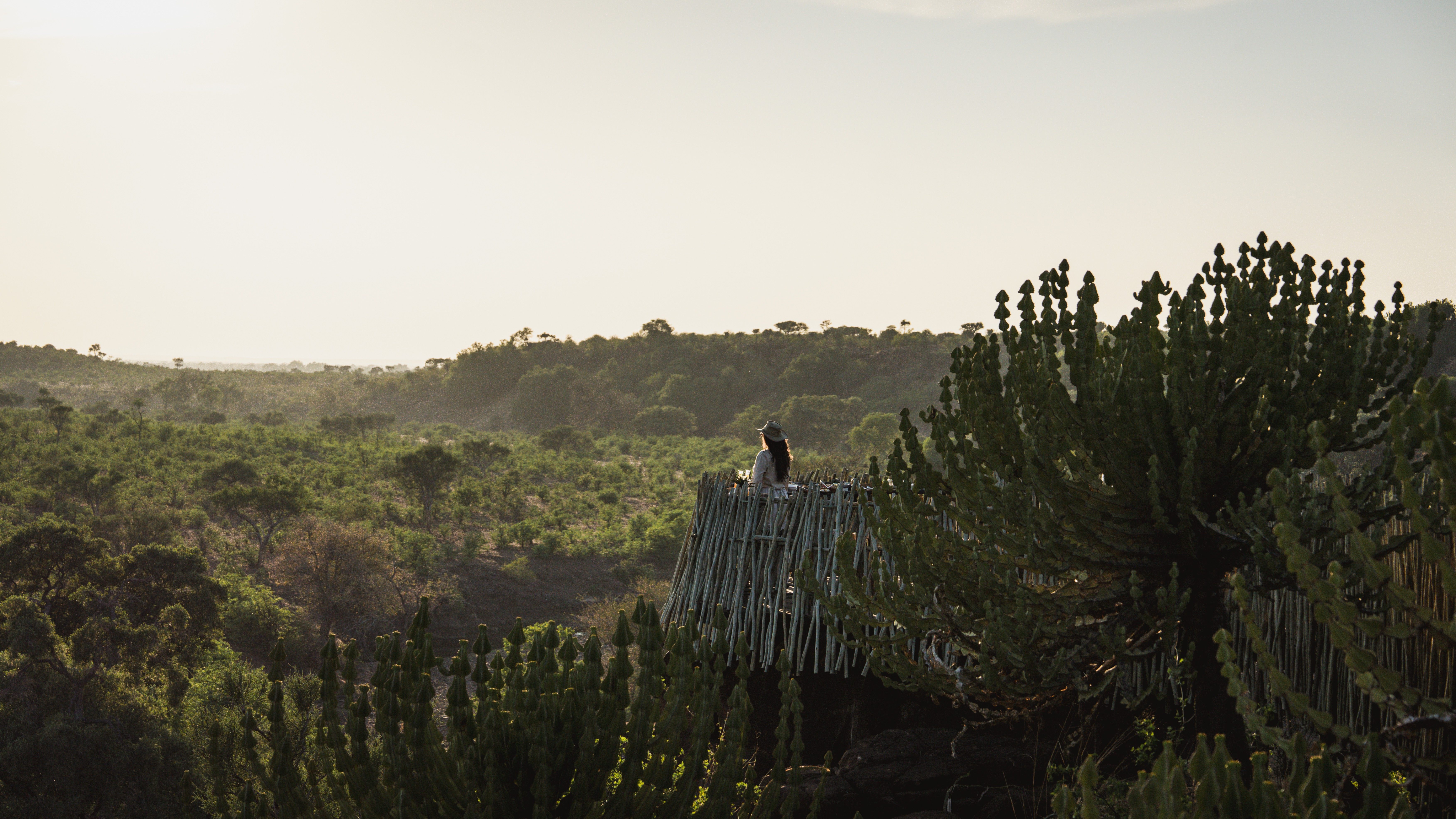 Euphorbia Mashatu Experience, Botswana