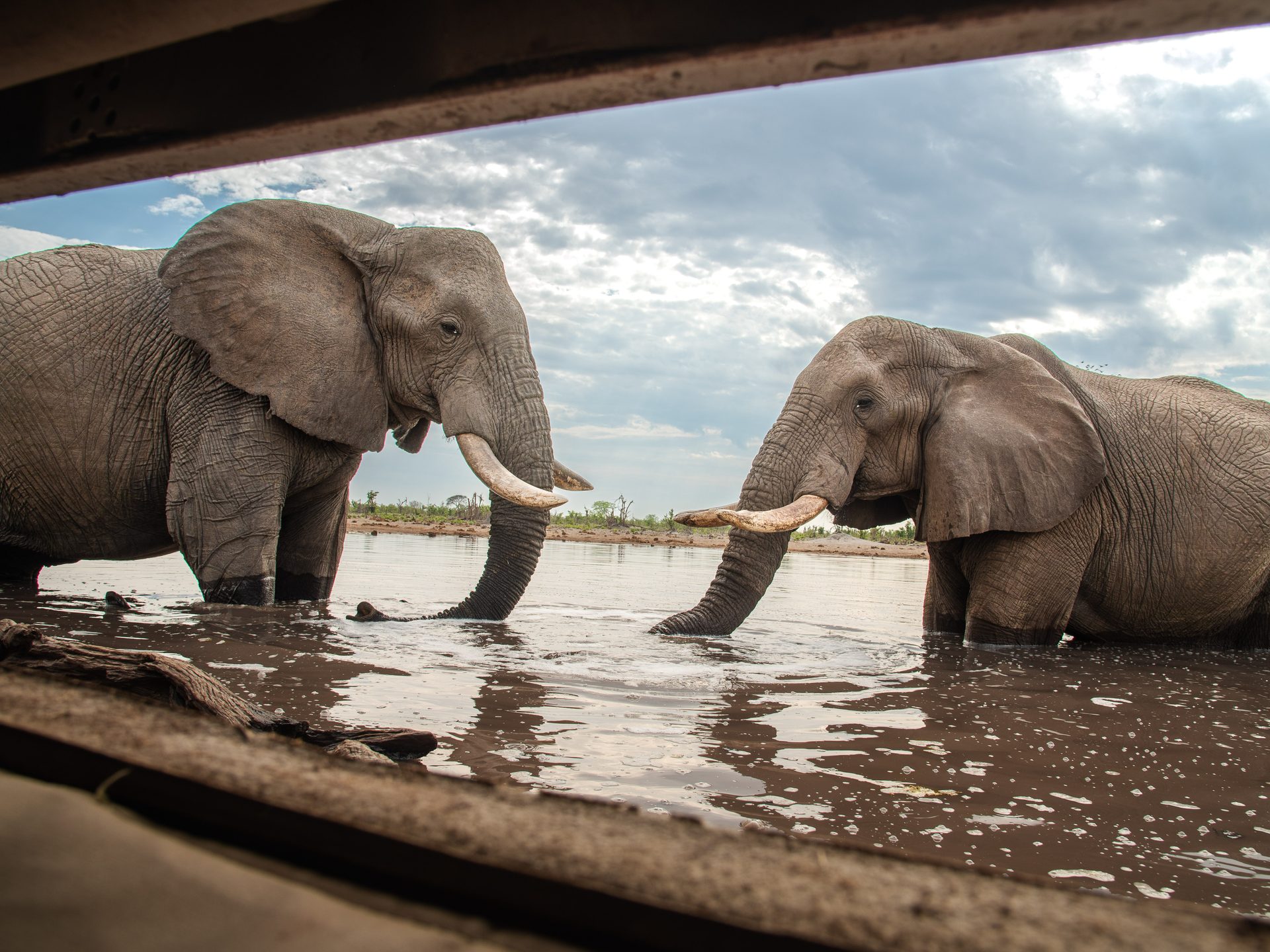 inside watering hole