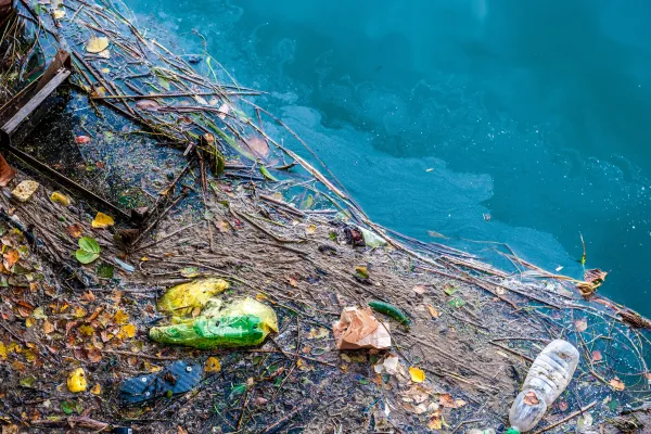 Pollution in water