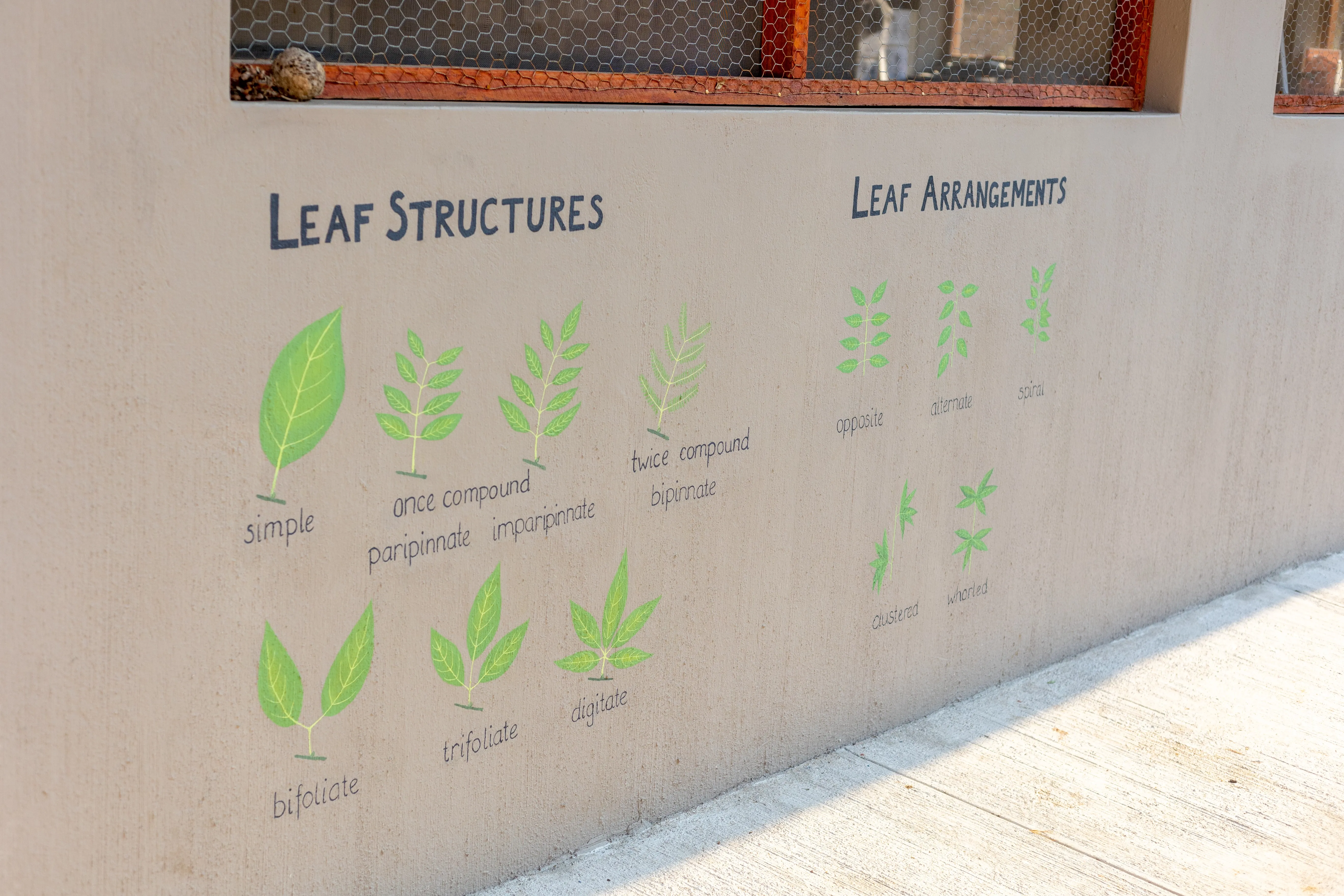 Professional Field Guide, Southern Africa