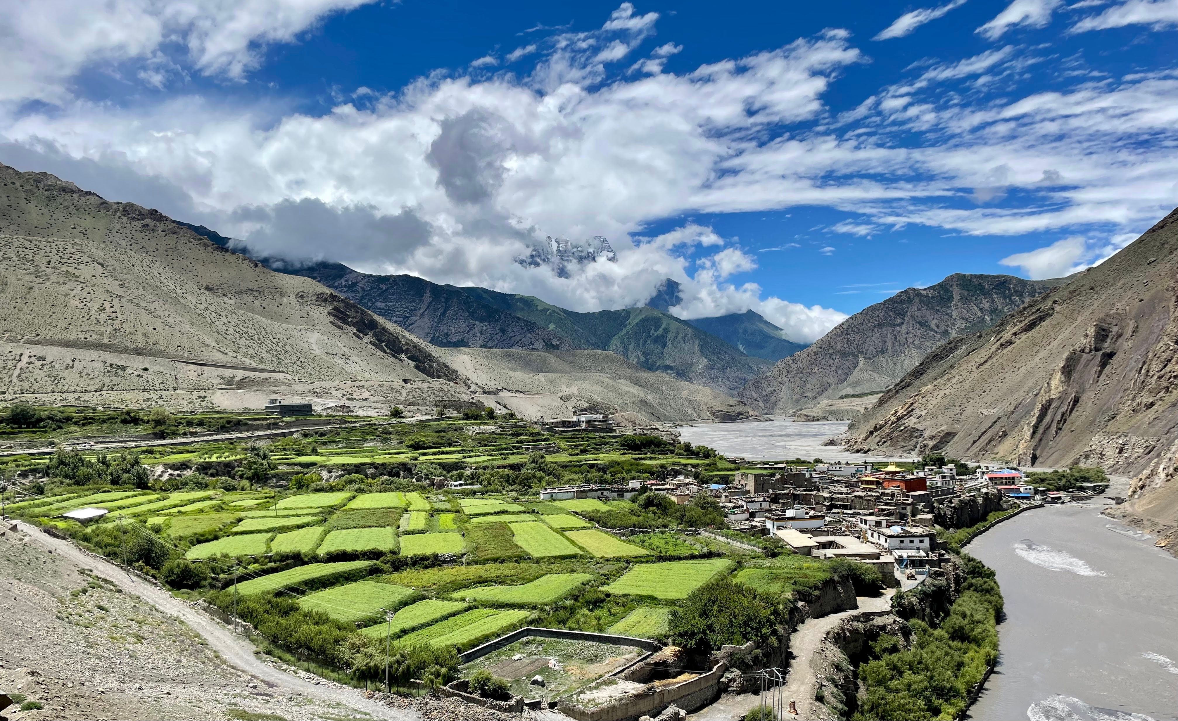 green landscape against mountains