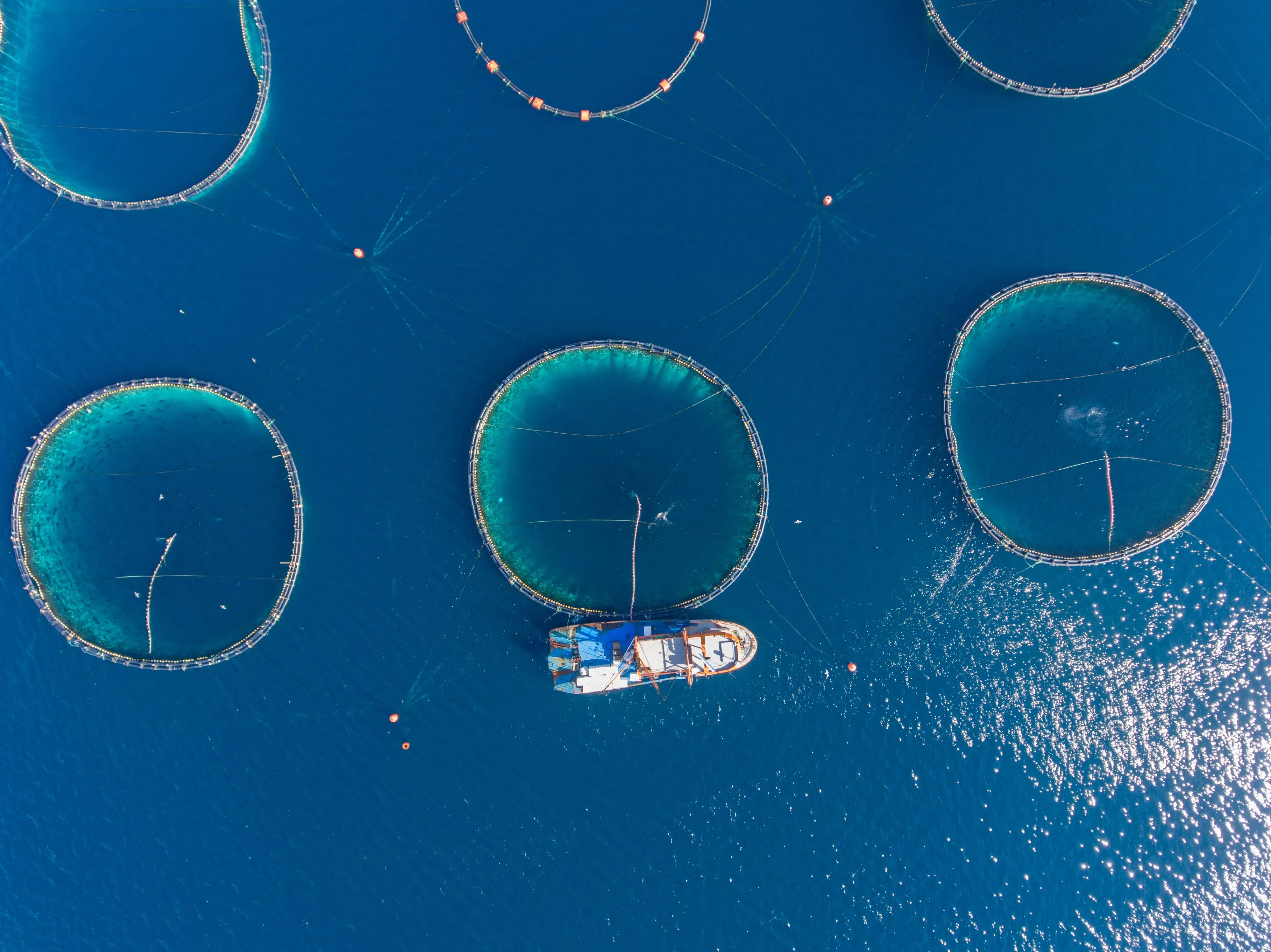 sustainable fish farm