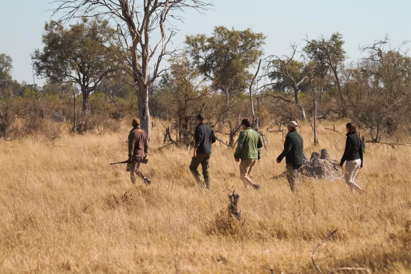 Walk through the bush