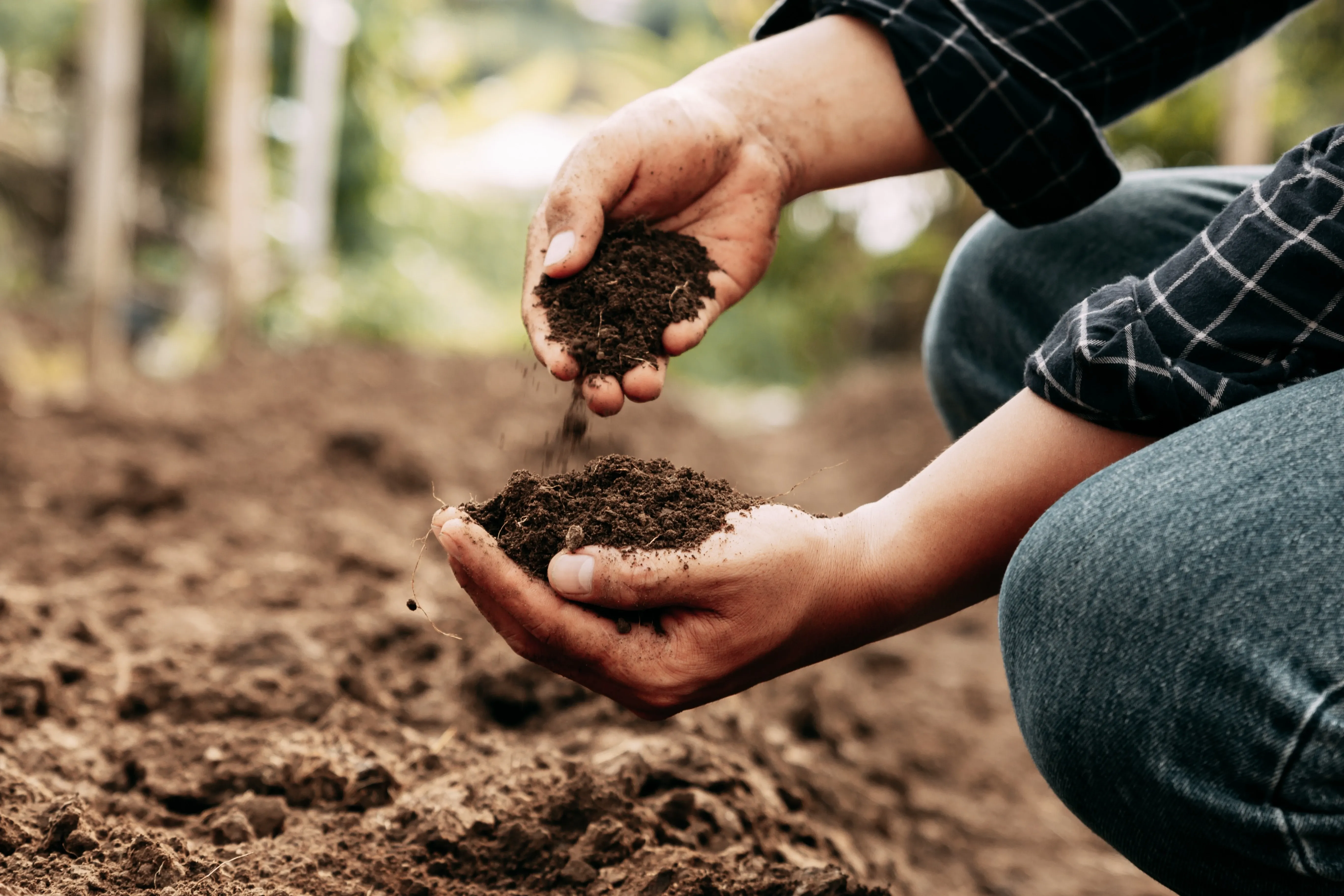 guy picking up soil