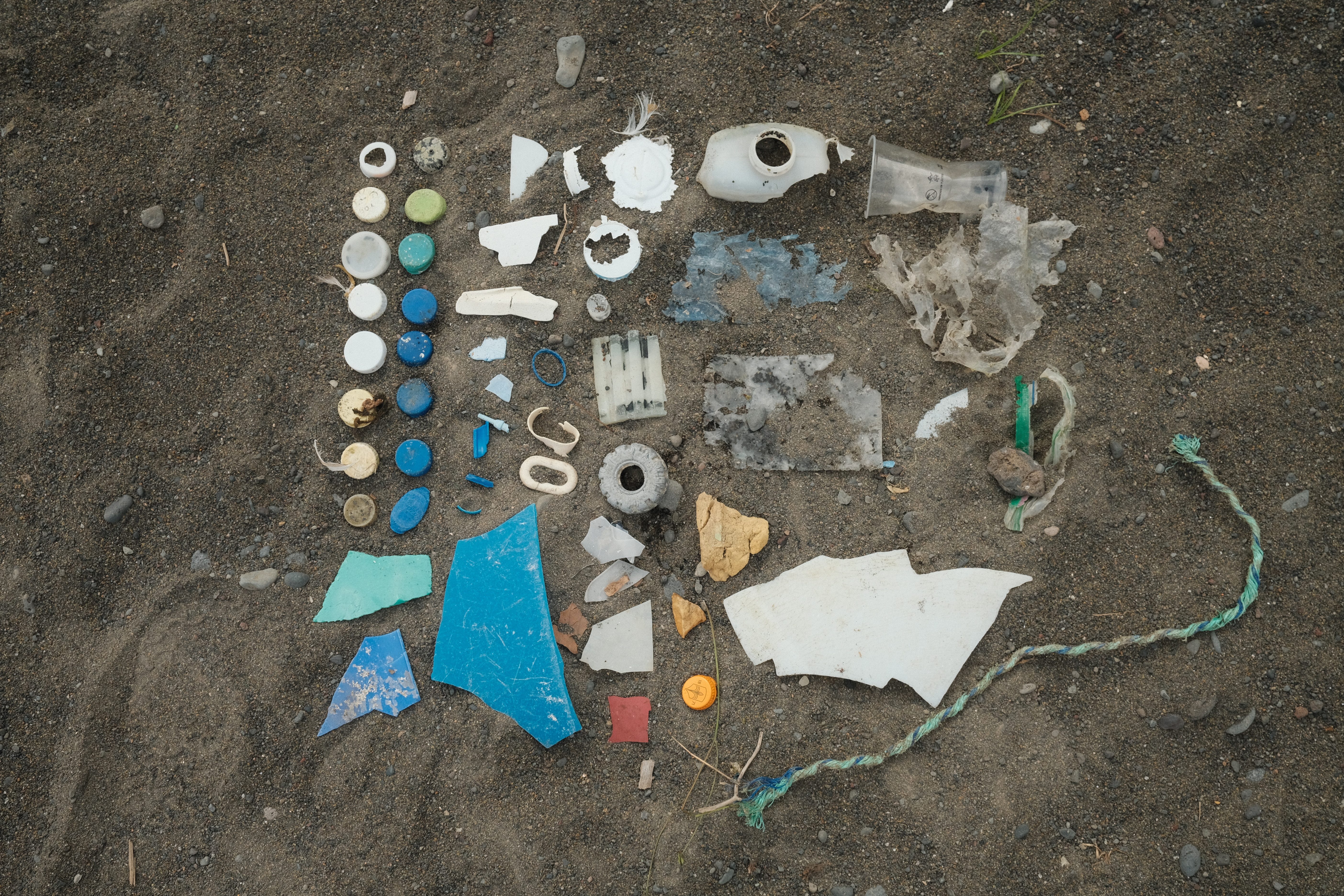 Litter lined up on the beach