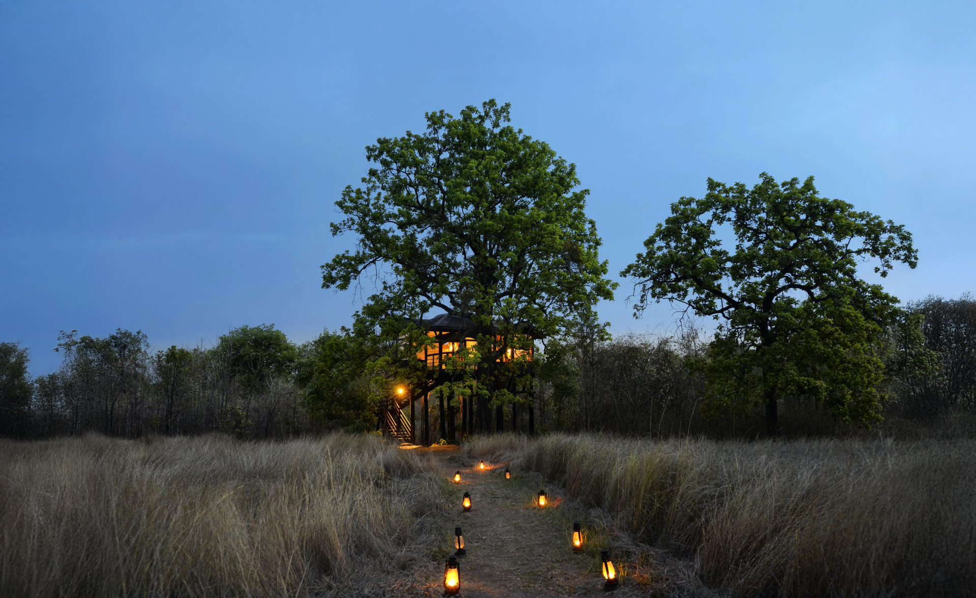 Pench Tree Lodge, India