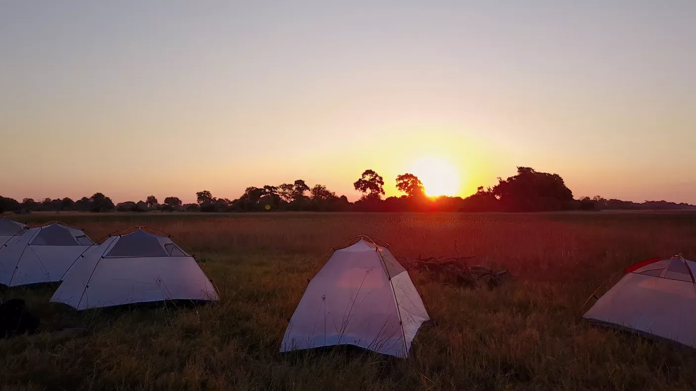 Tents in the Okavango Delta