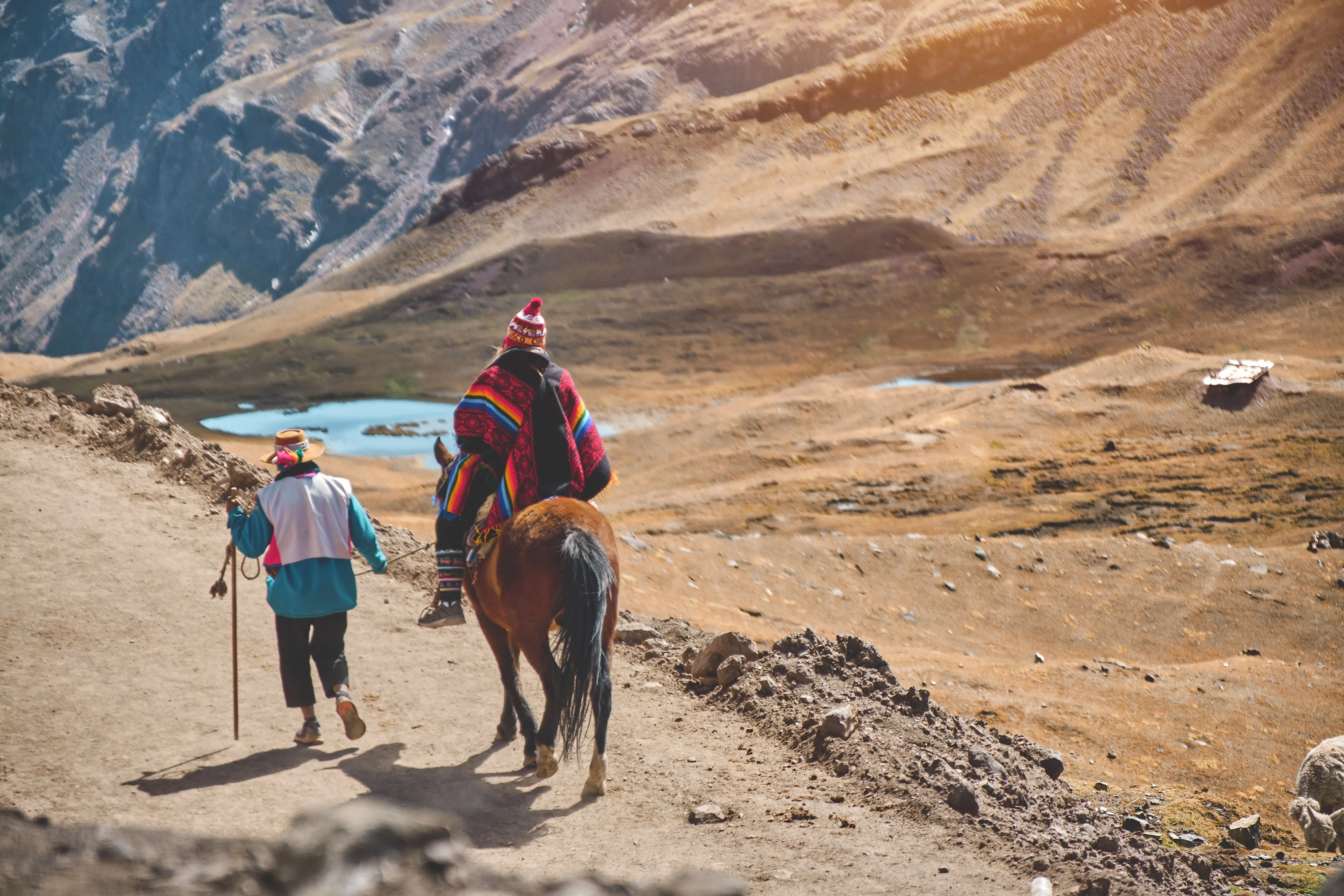 Horse sherpa in andean mountains