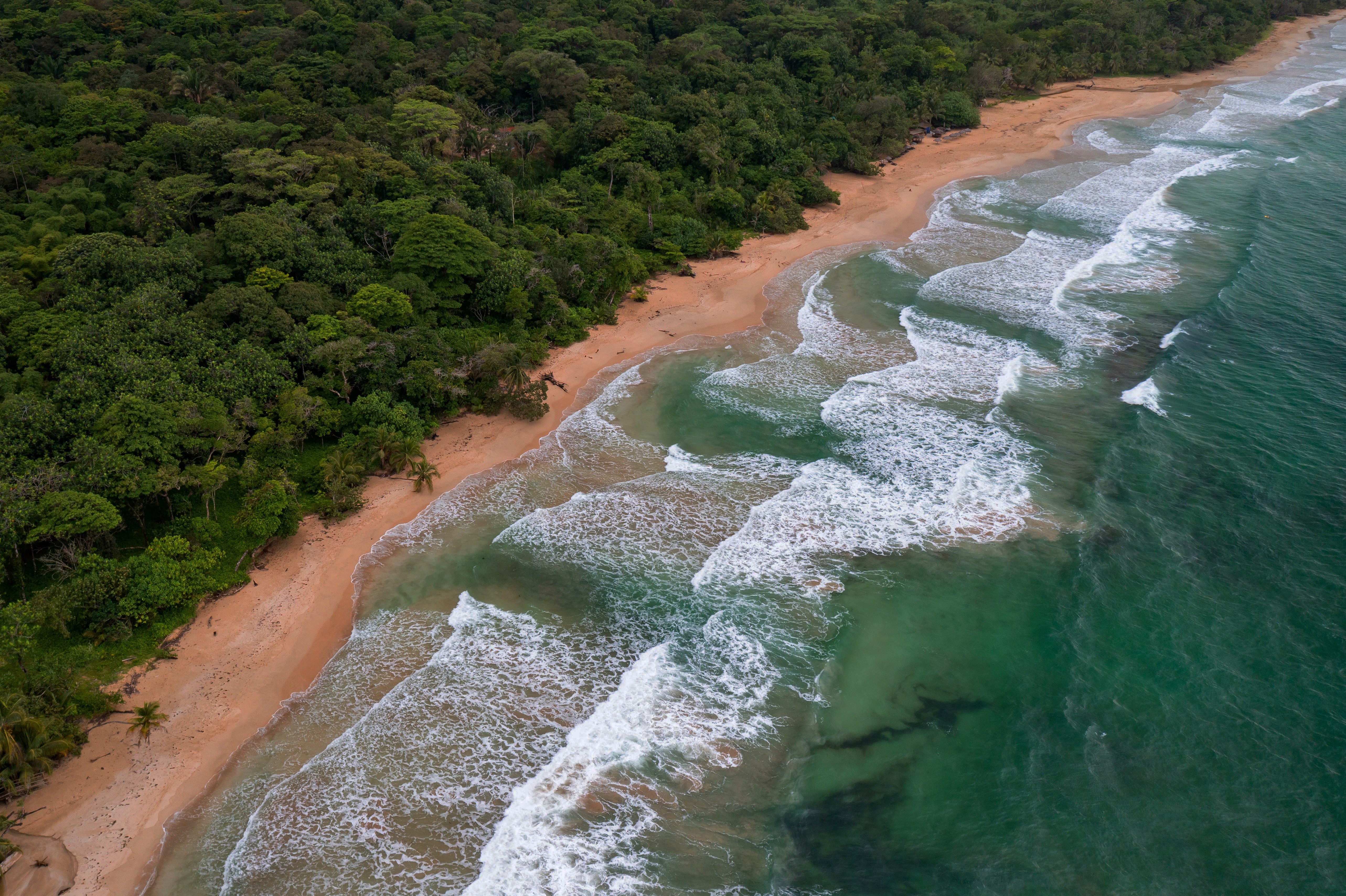 Volunteering Marine Conservation, Panama