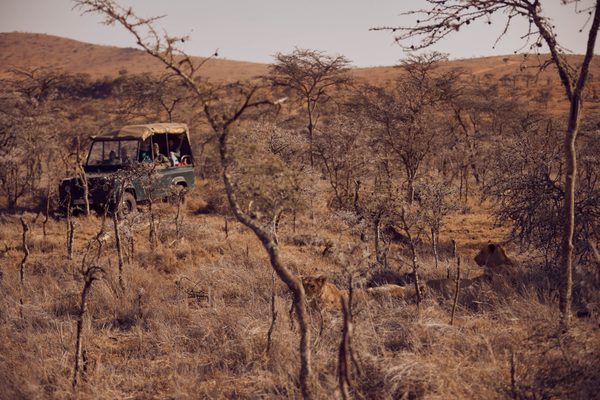 Game drive