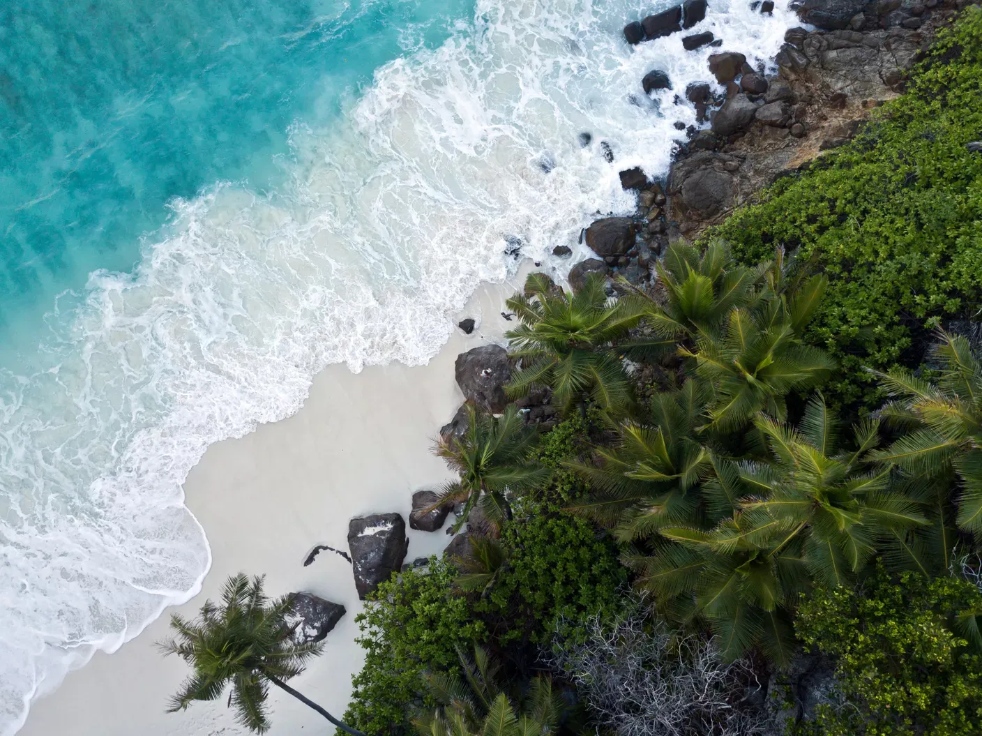 Luftaufnahme Strand Nordinsel