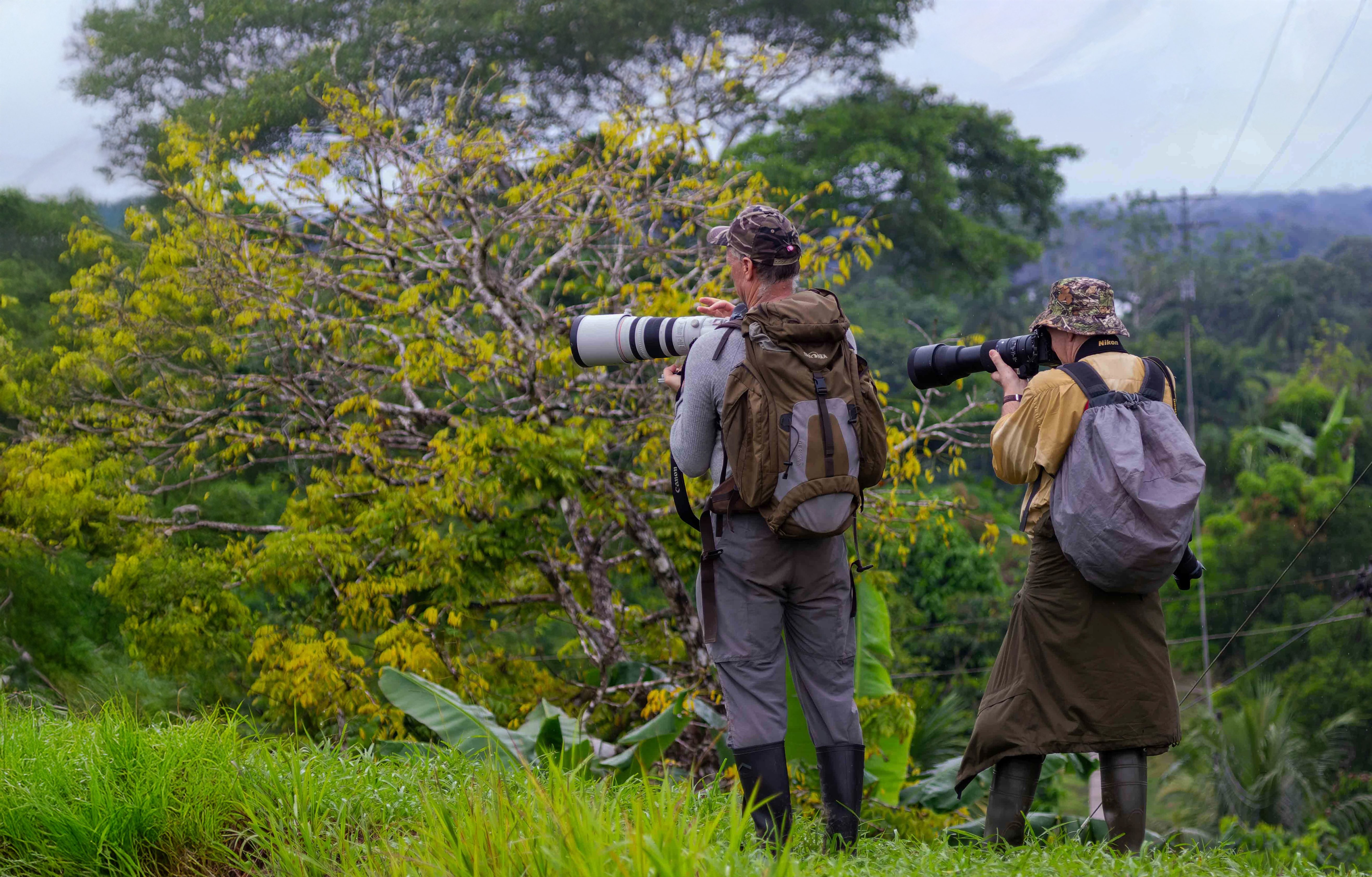 Unser Partner: Jaguarundi Travel