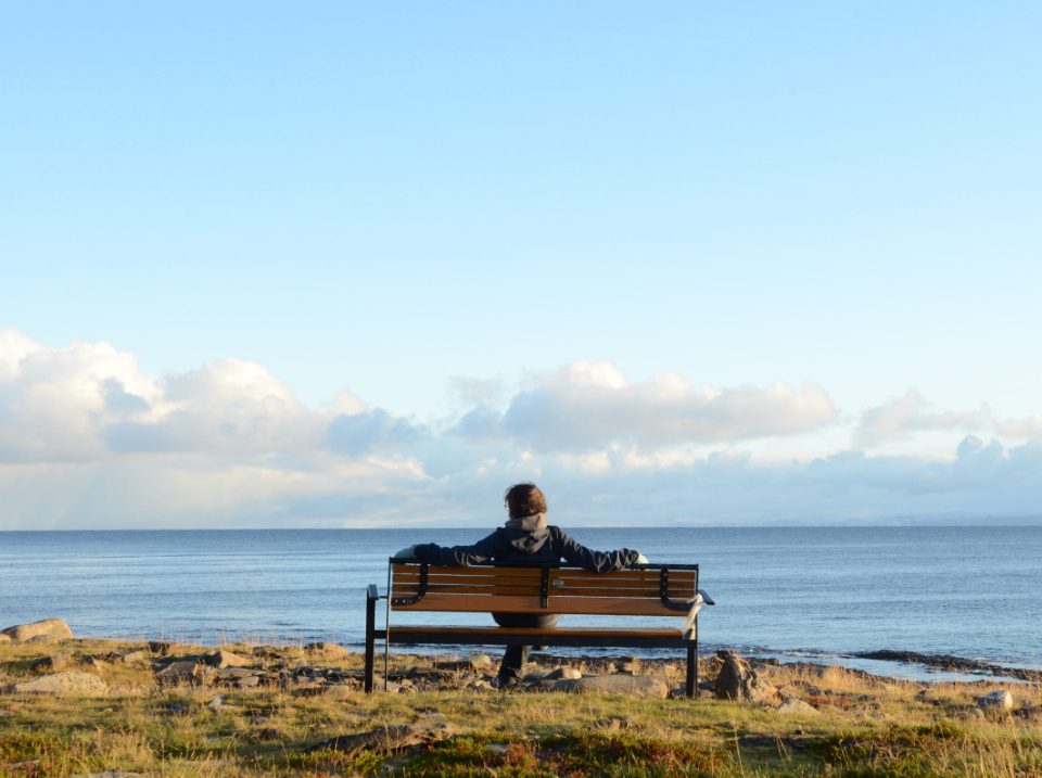 arctic lodge sea view