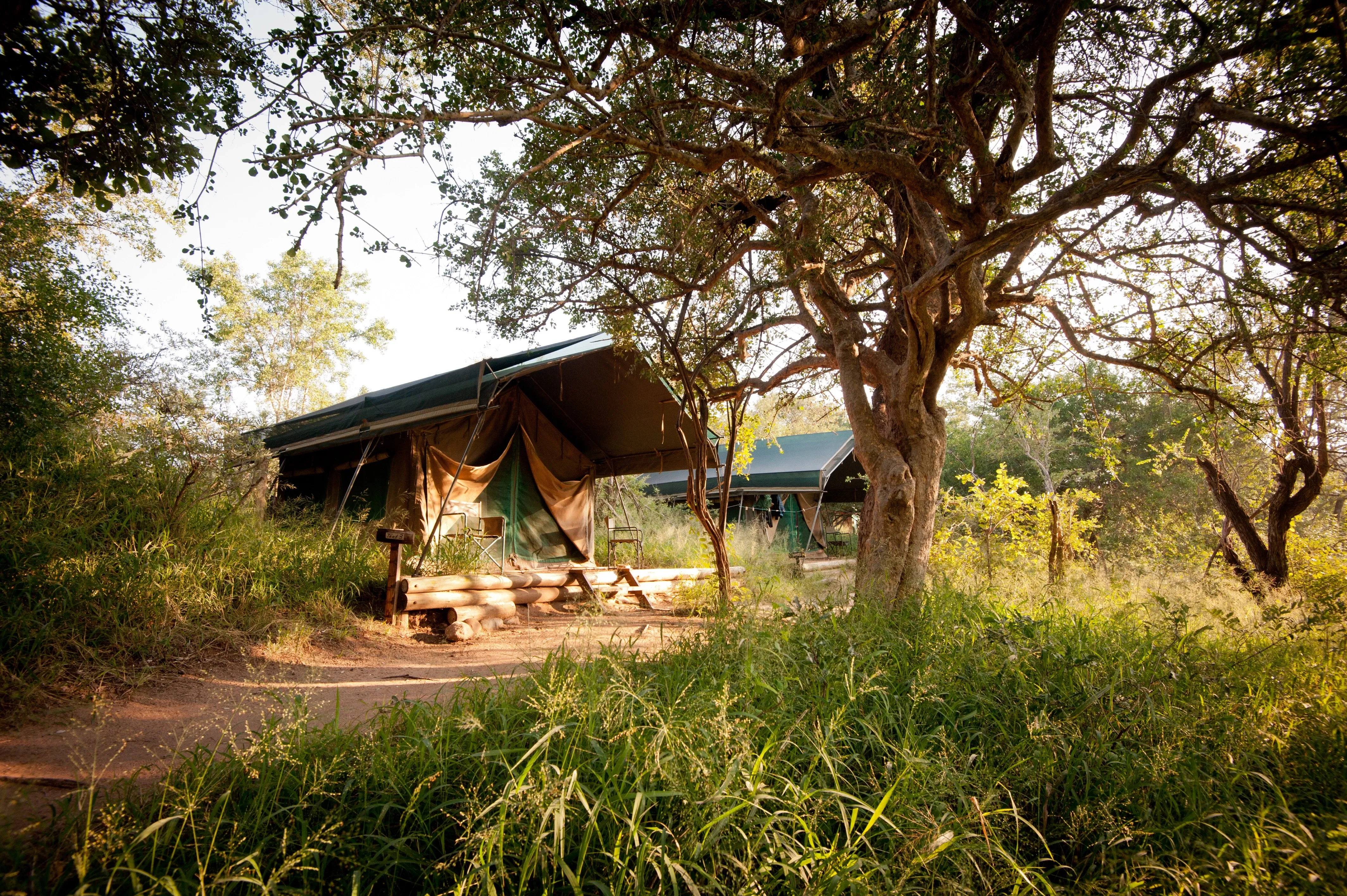 Professional Field Guide, Southern Africa