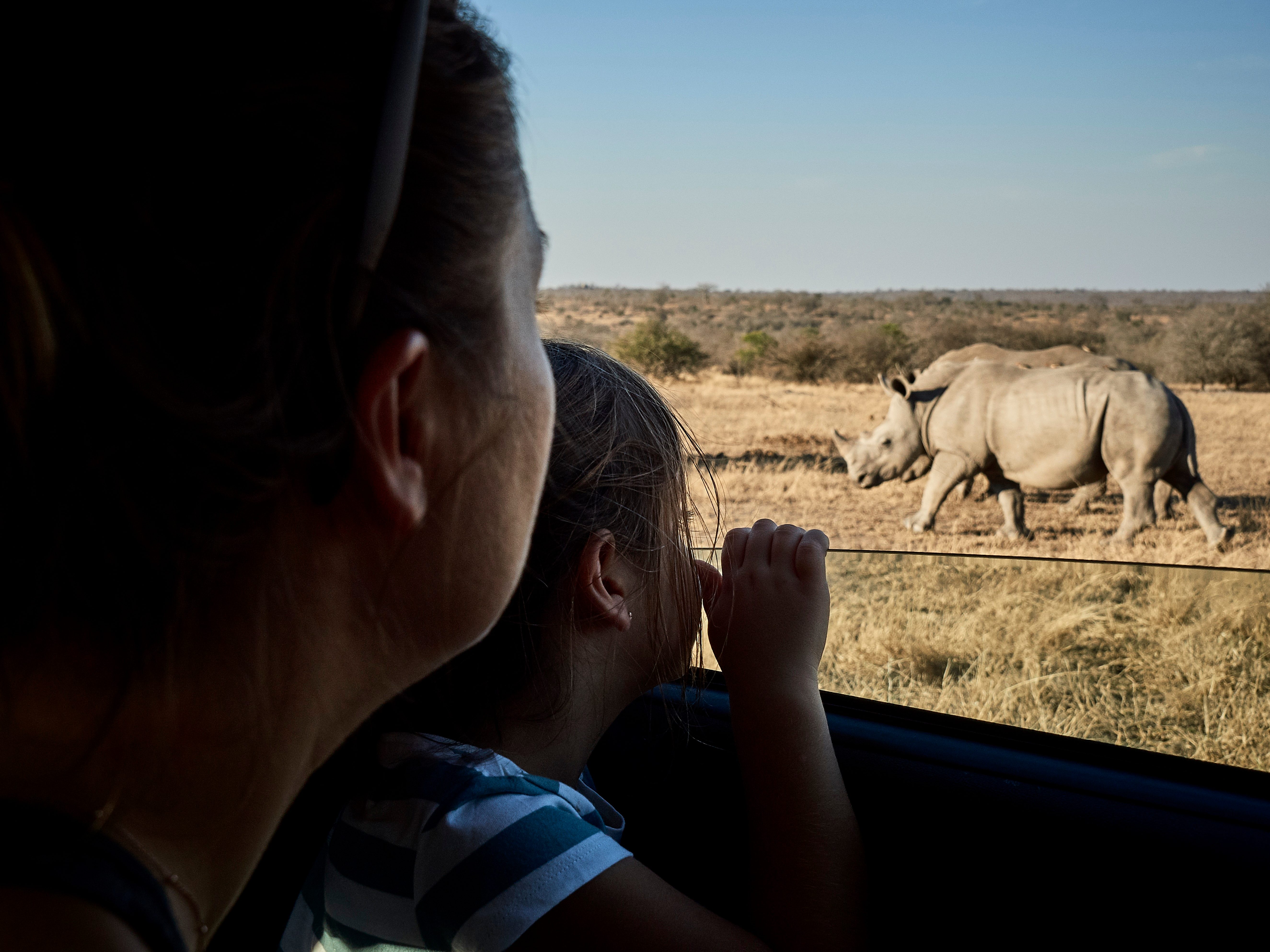 Mädchen schaut Nashorn an