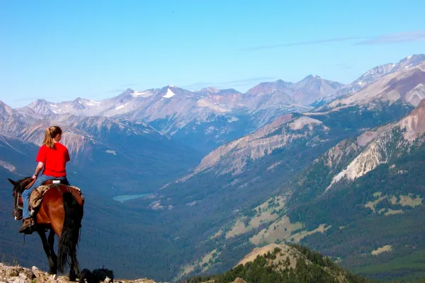 horse guide overlooking view