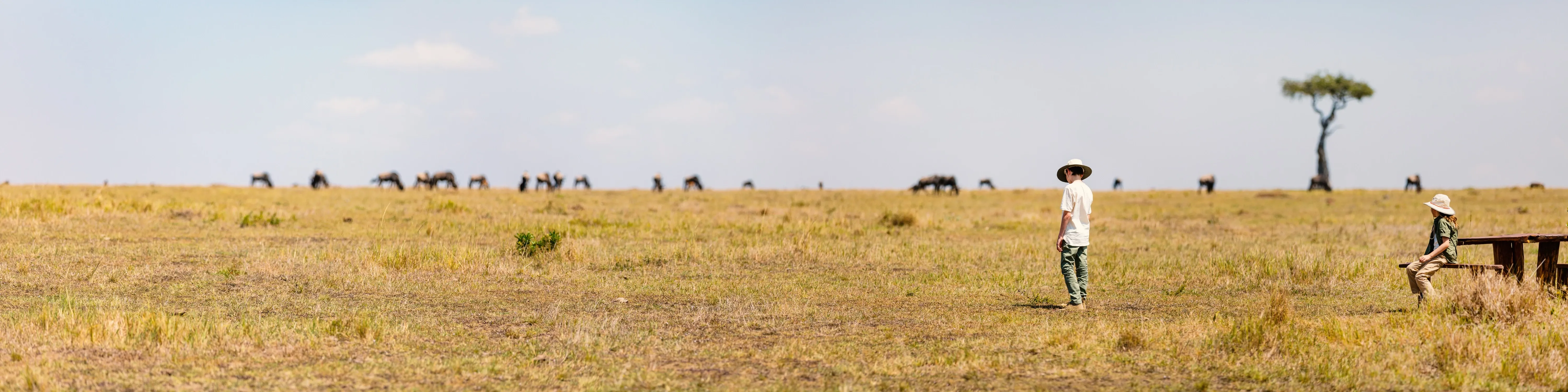 Boy looking at buffalo in distance