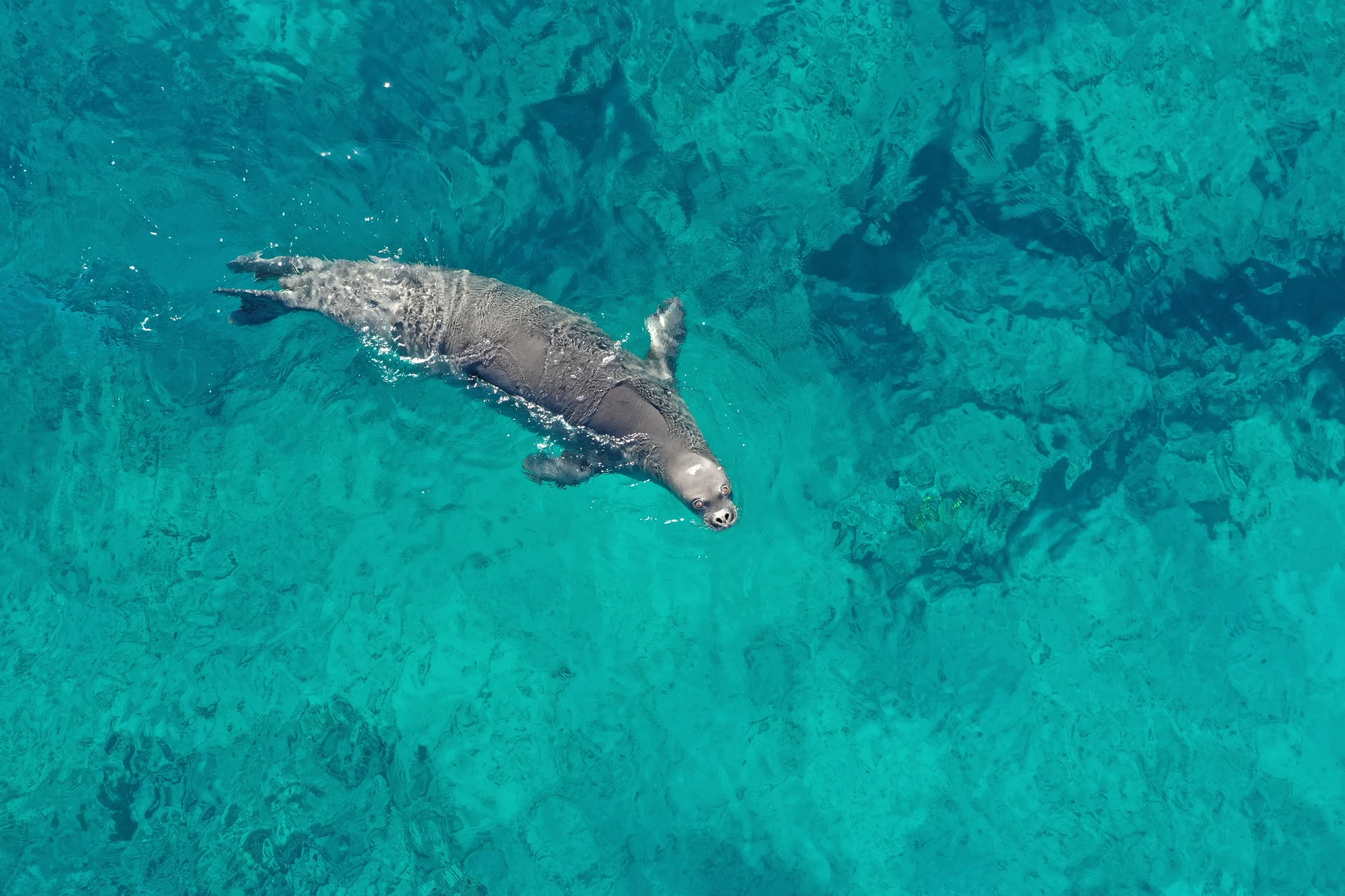 Volunteering in Oceania