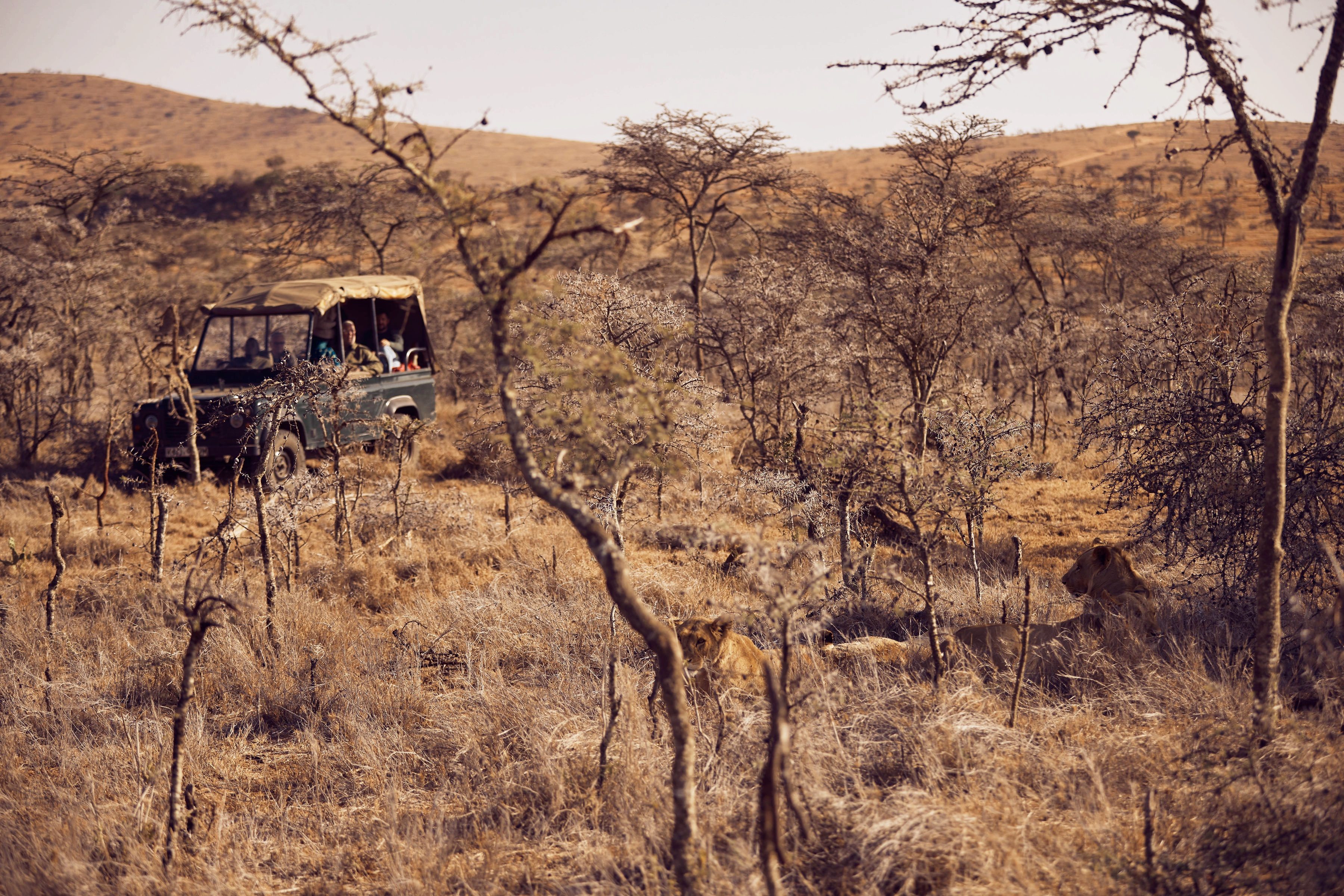 Lerne das African Private Guides Network kennen