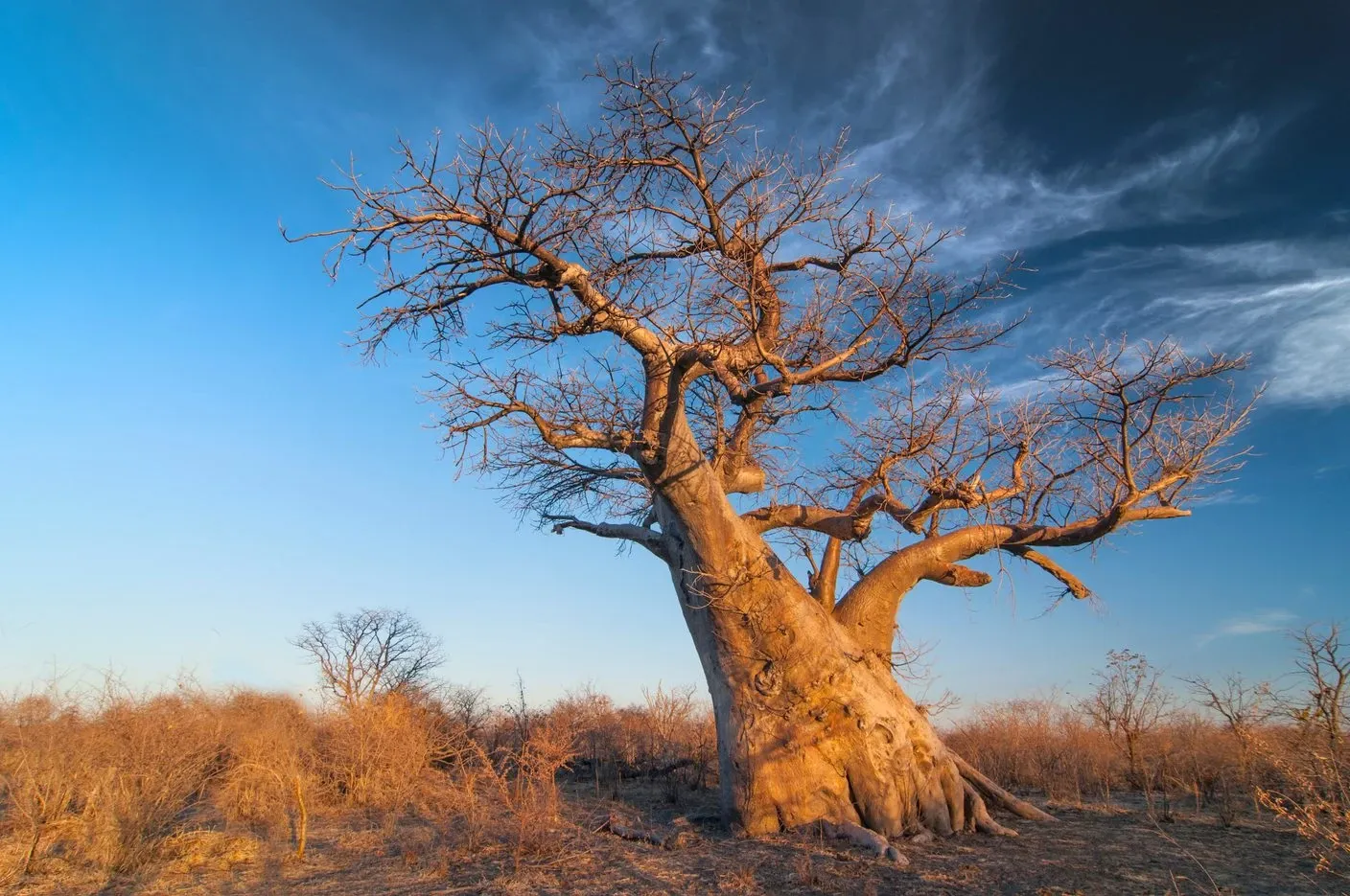 Impressum & Haftungsausschluss