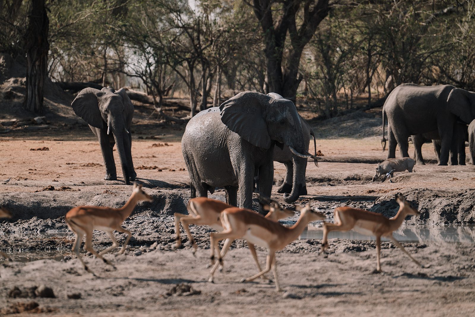 Our partner: African Guide Academy