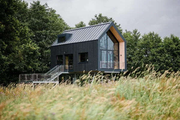 Graues Baumhaus in der Natur, umgeben von Bäumen