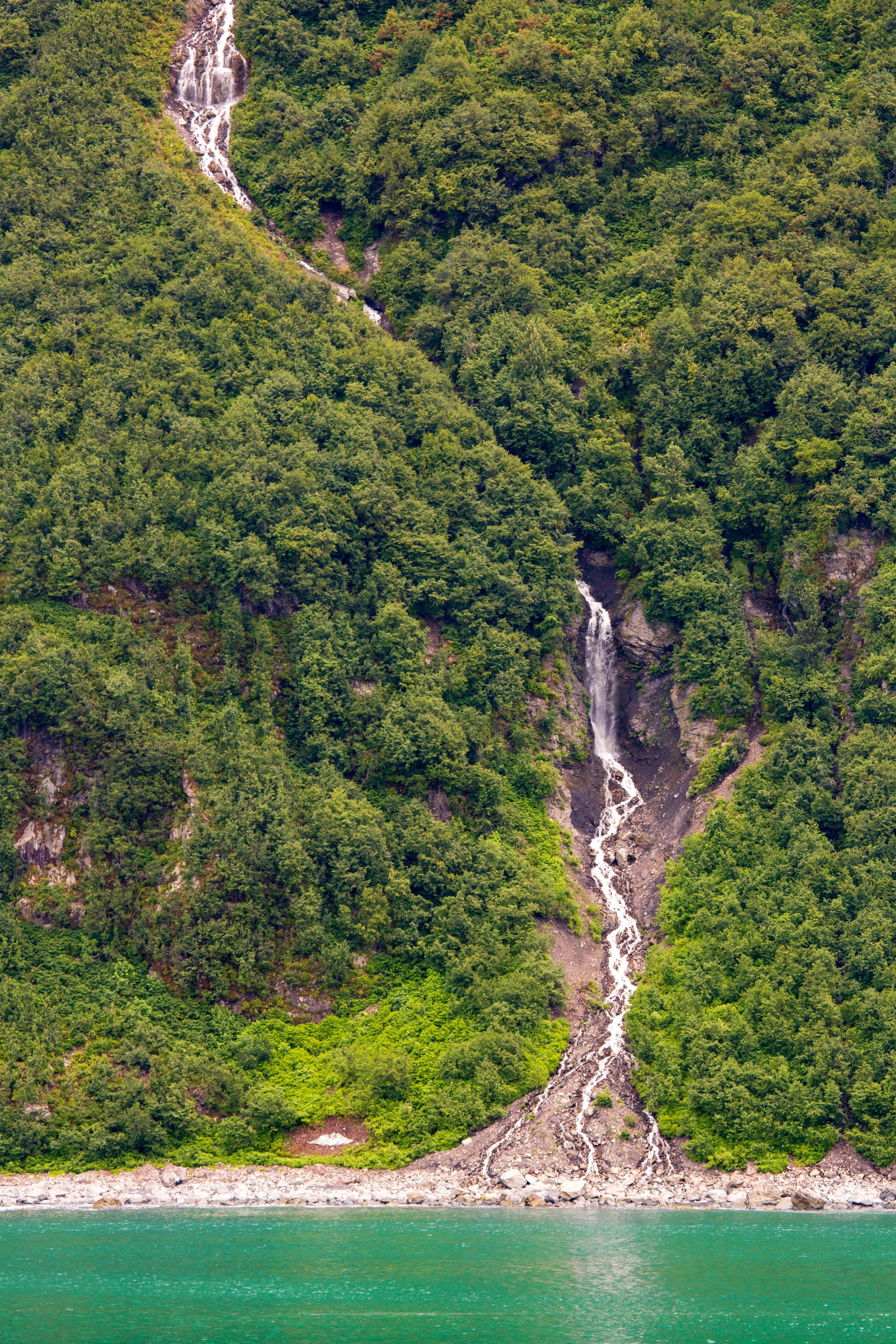 nutrients cycling in alaska
