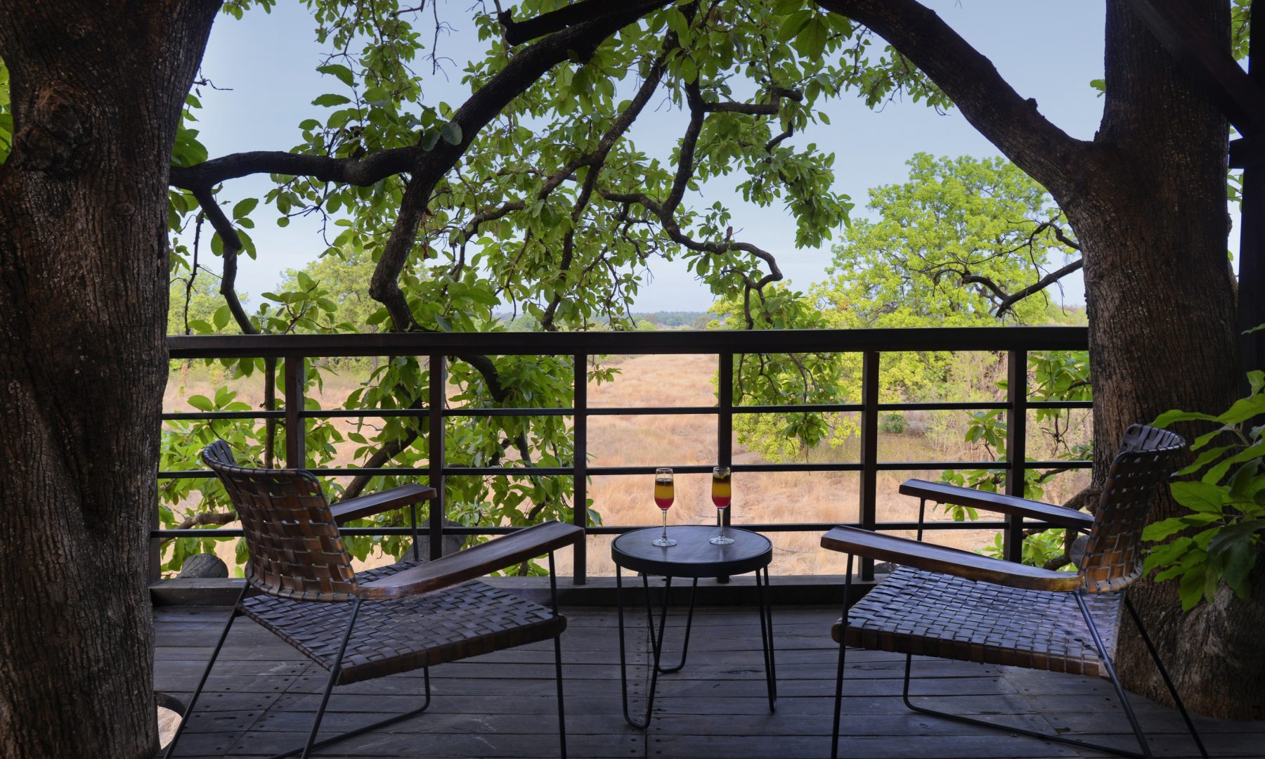 View from the treehouse