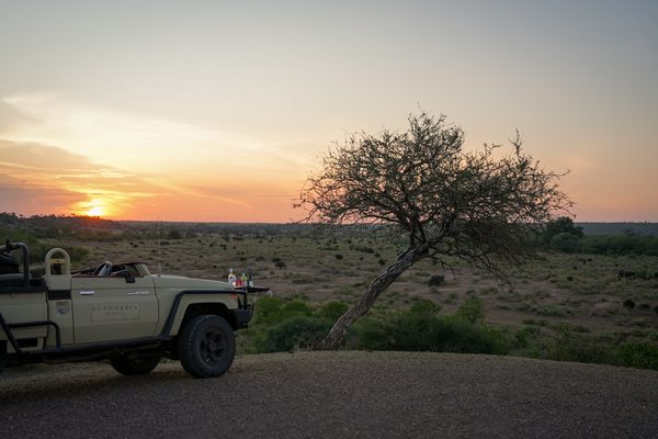 Sundowner