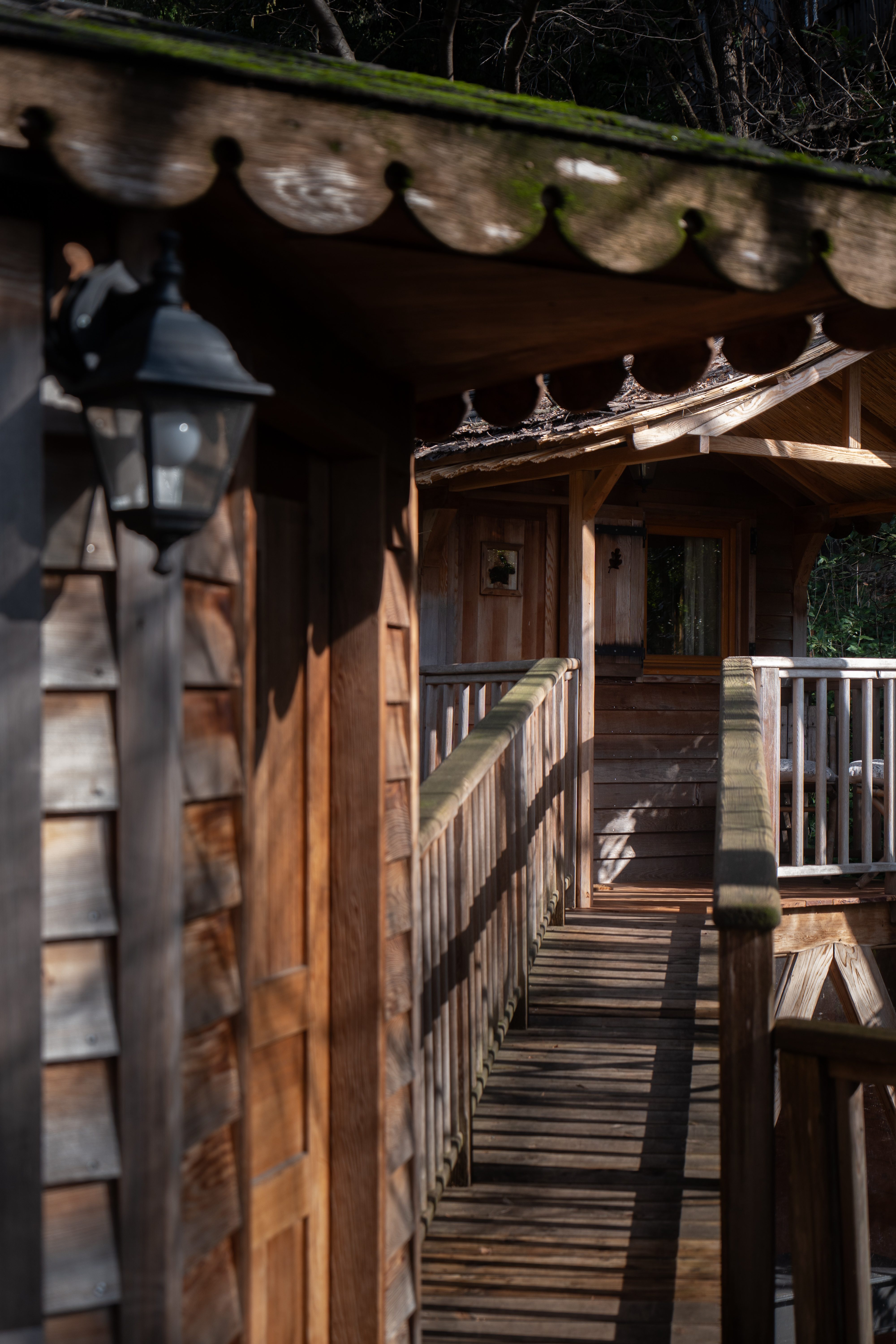pathway to orion treehouses accommodation