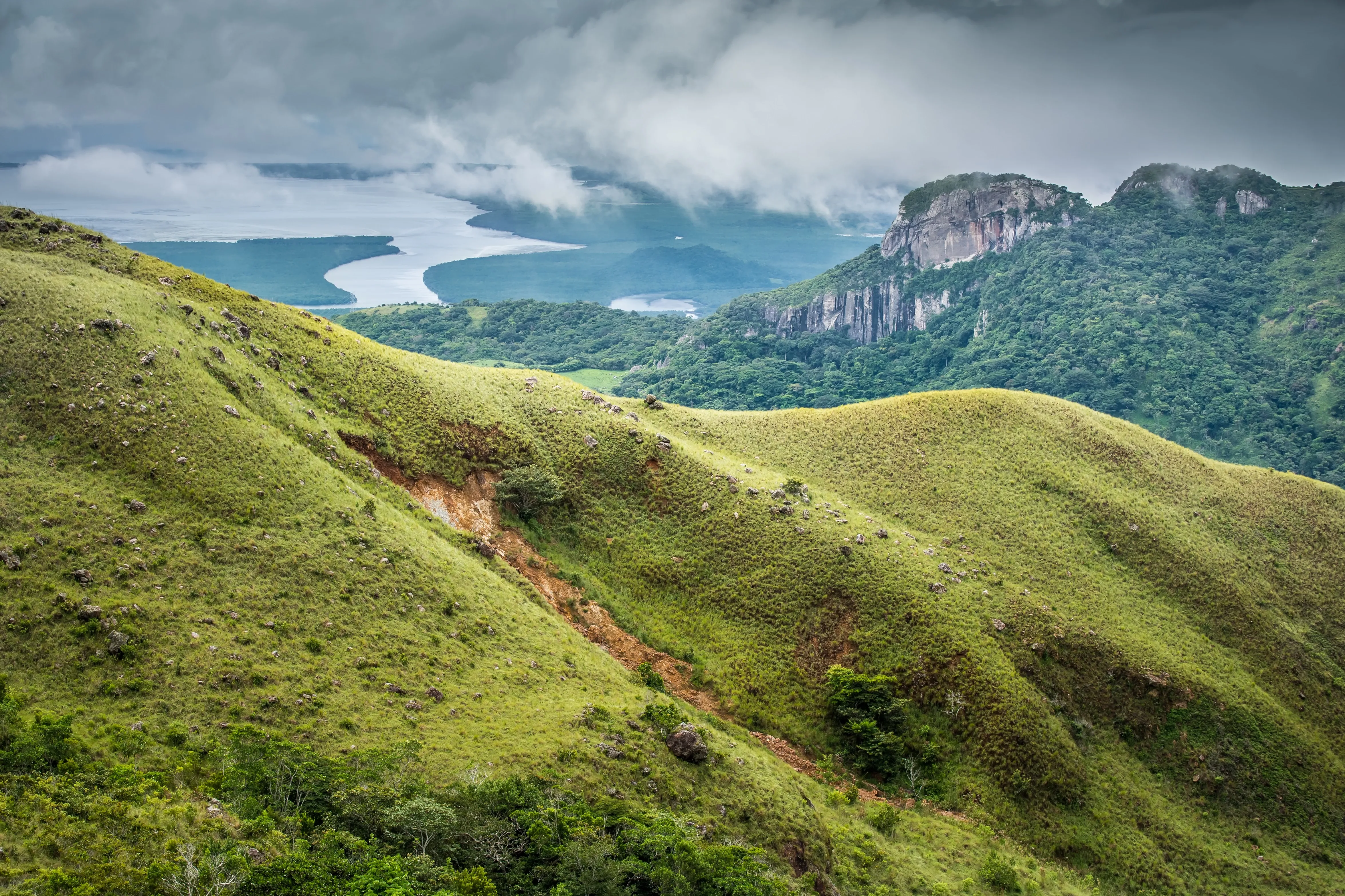 Panama Regenwald Hügel